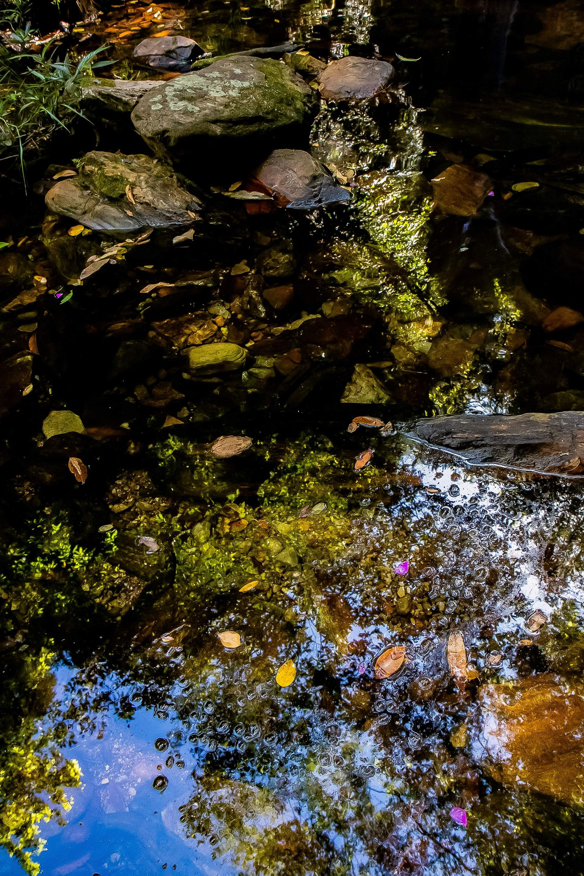 Canastra Feelings - 2 - 1