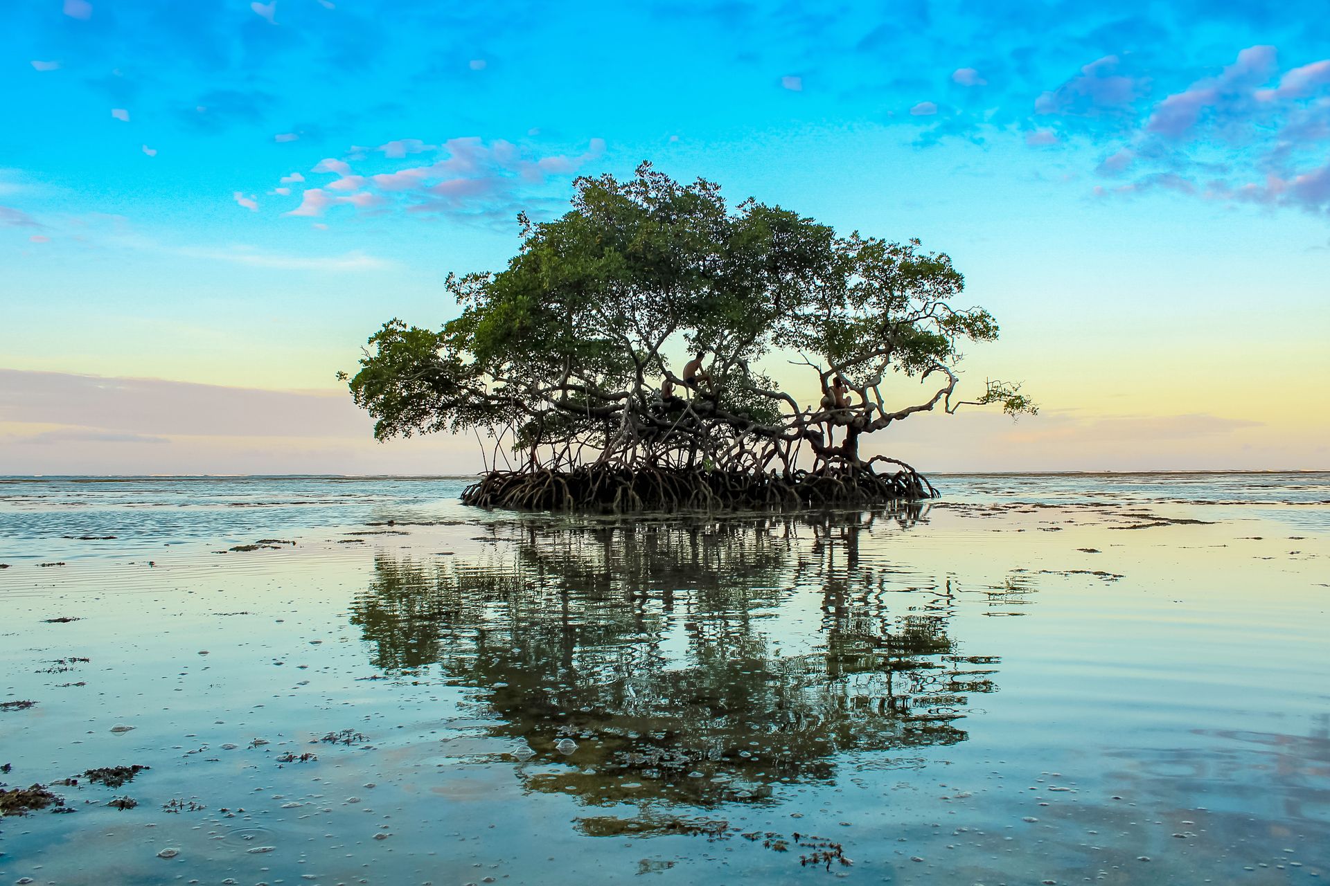 Vila de Garapuá - 2 - 1