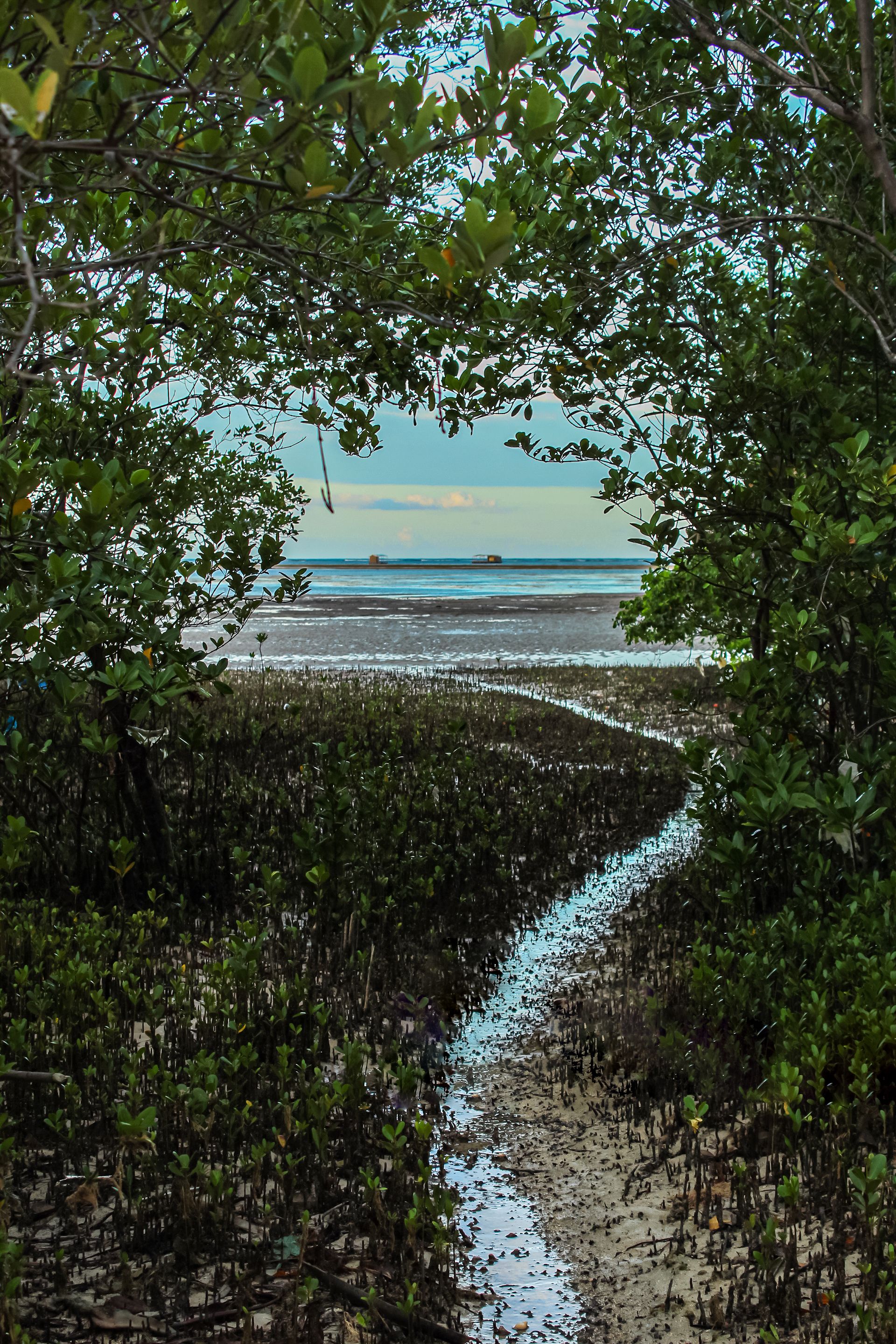 Vila de Garapuá - 2 - 0