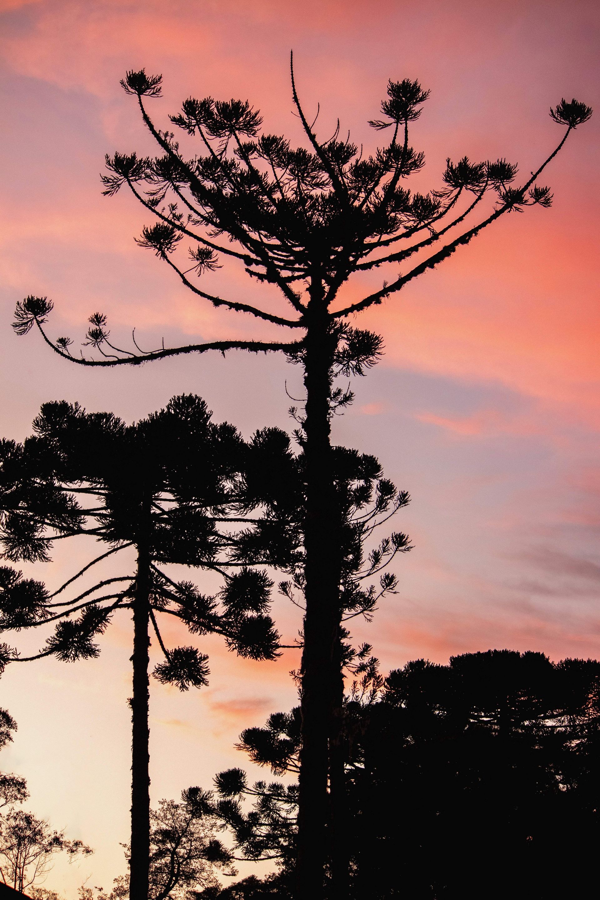 Gramado Inesquecível - 2 - 1