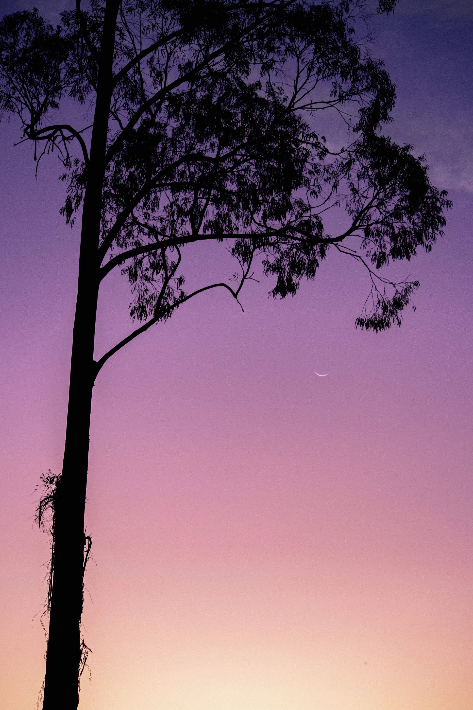 Gramado Inesquecível - 2 - 0