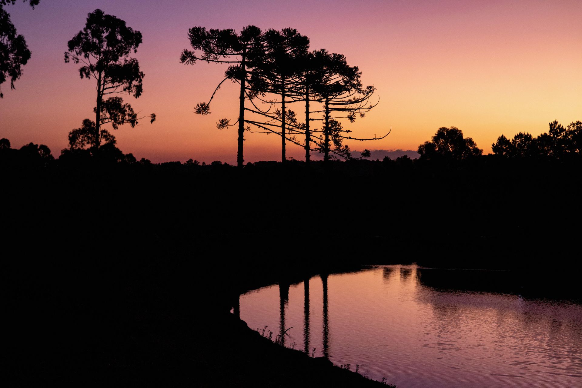 Gramado Inesquecível - 2 - 1