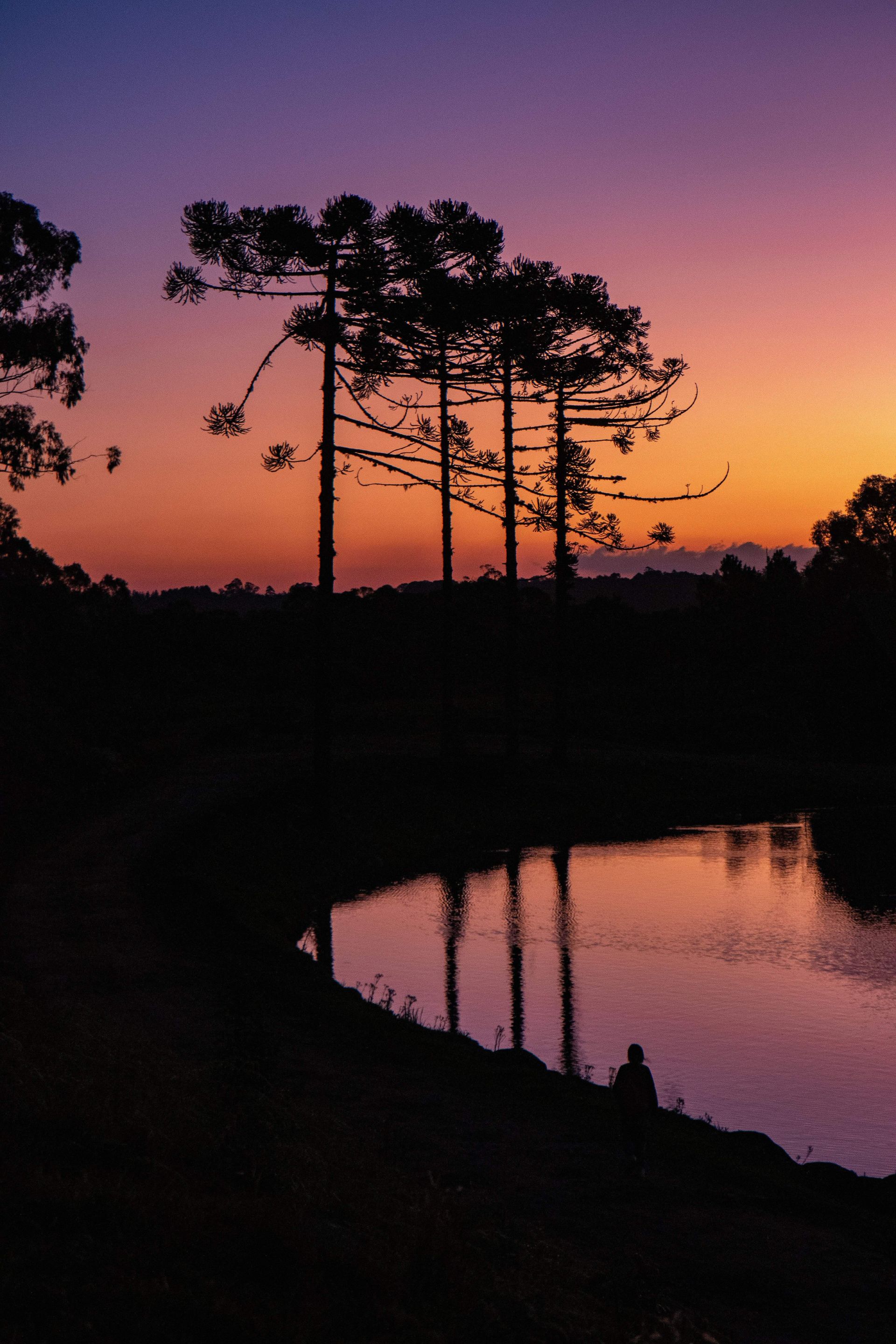 Gramado Inesquecível - 2 - 1