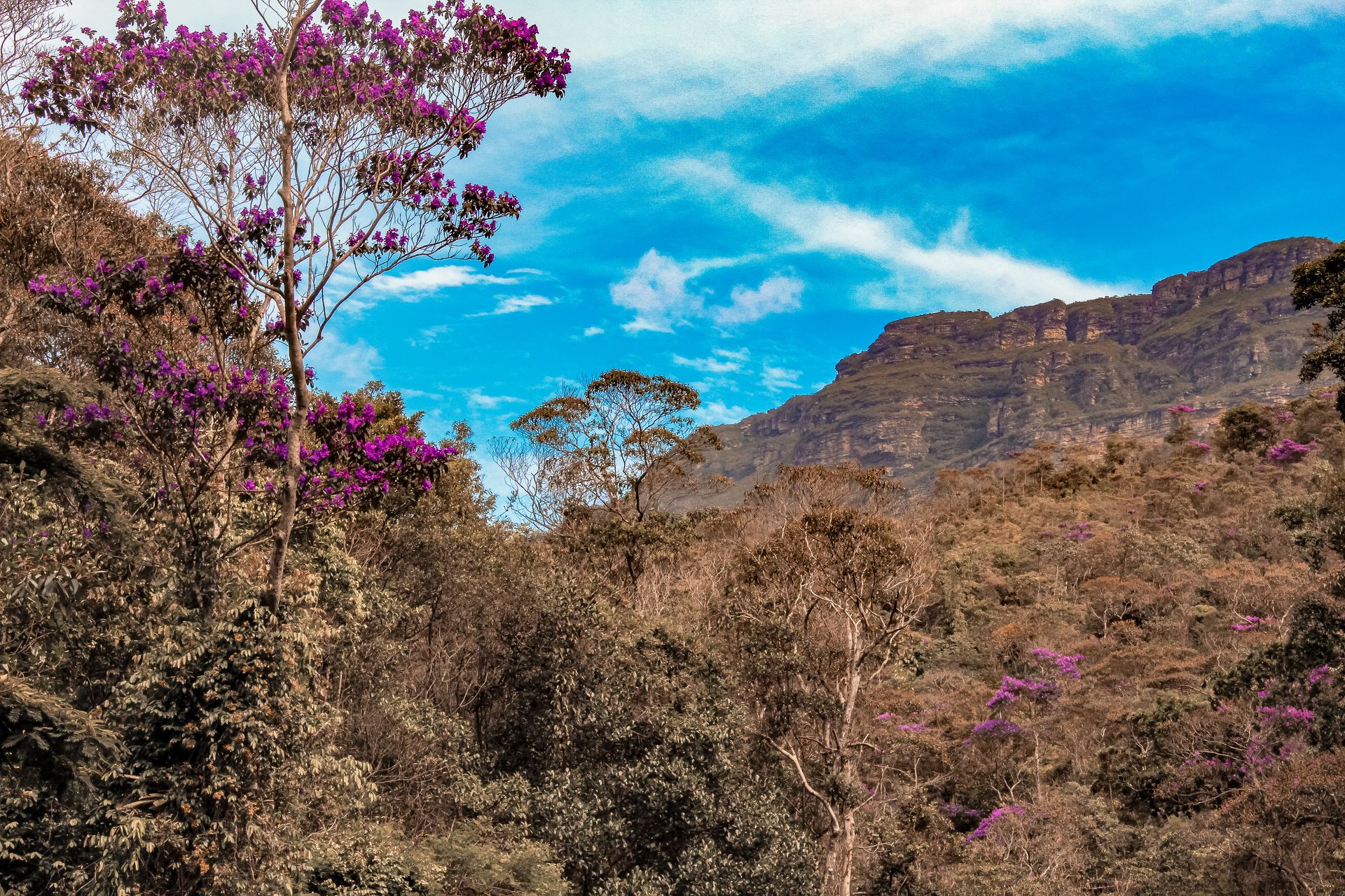 Vale do Pati - 2 - 0