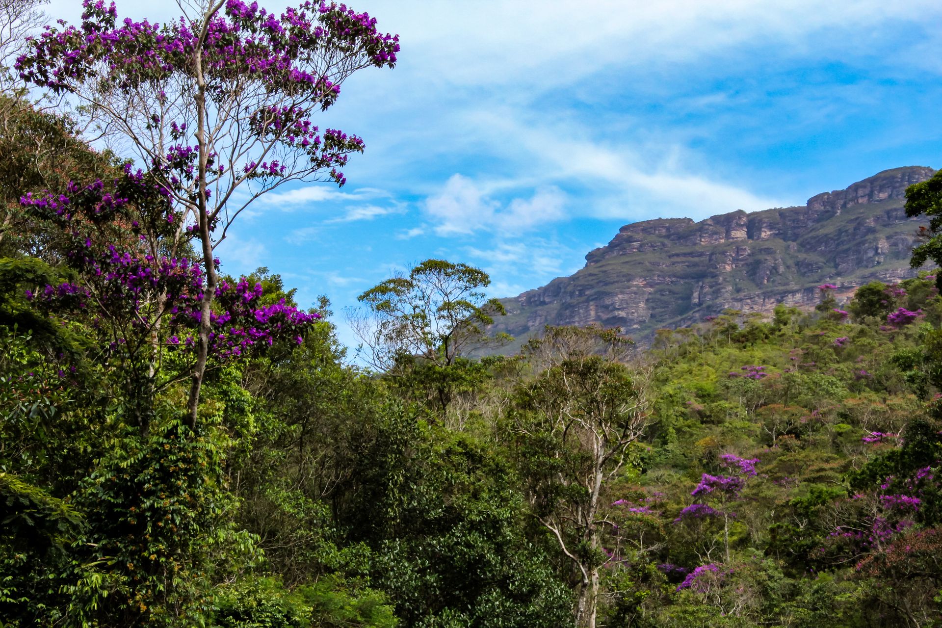 Vale do Pati - 2 - 1