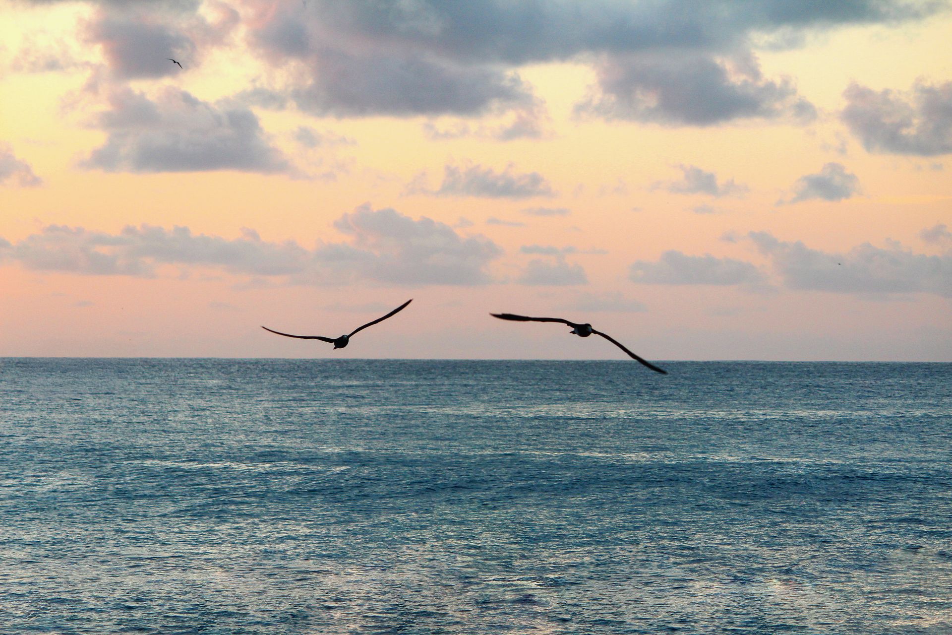 Noronhe - se - 2 - 1