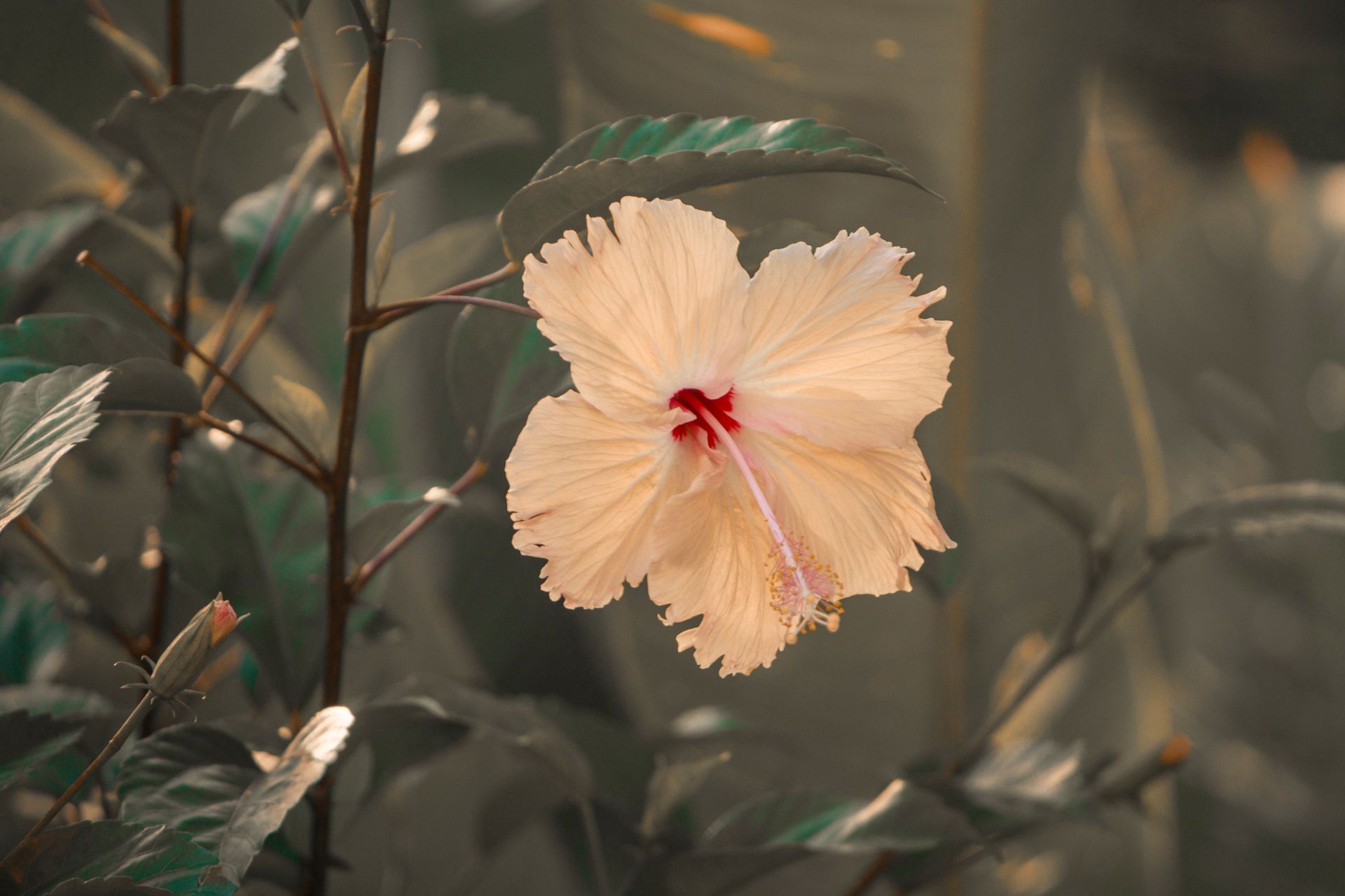 Meus Caminhos, Minha Ilha - Morro de São Paulo - 2 - 1