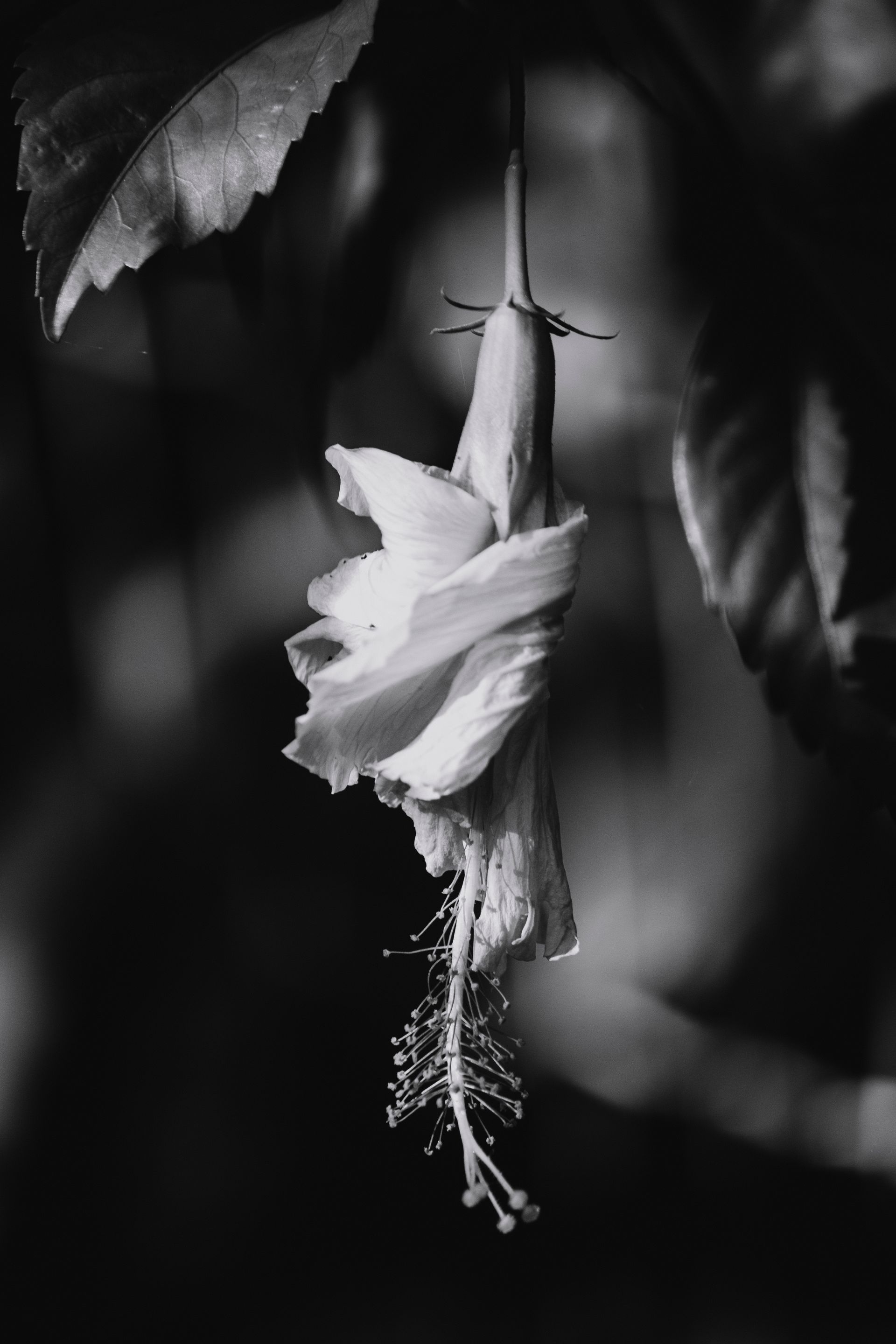 Meus Caminhos, Minha Ilha - Morro de São Paulo - 2 - 1