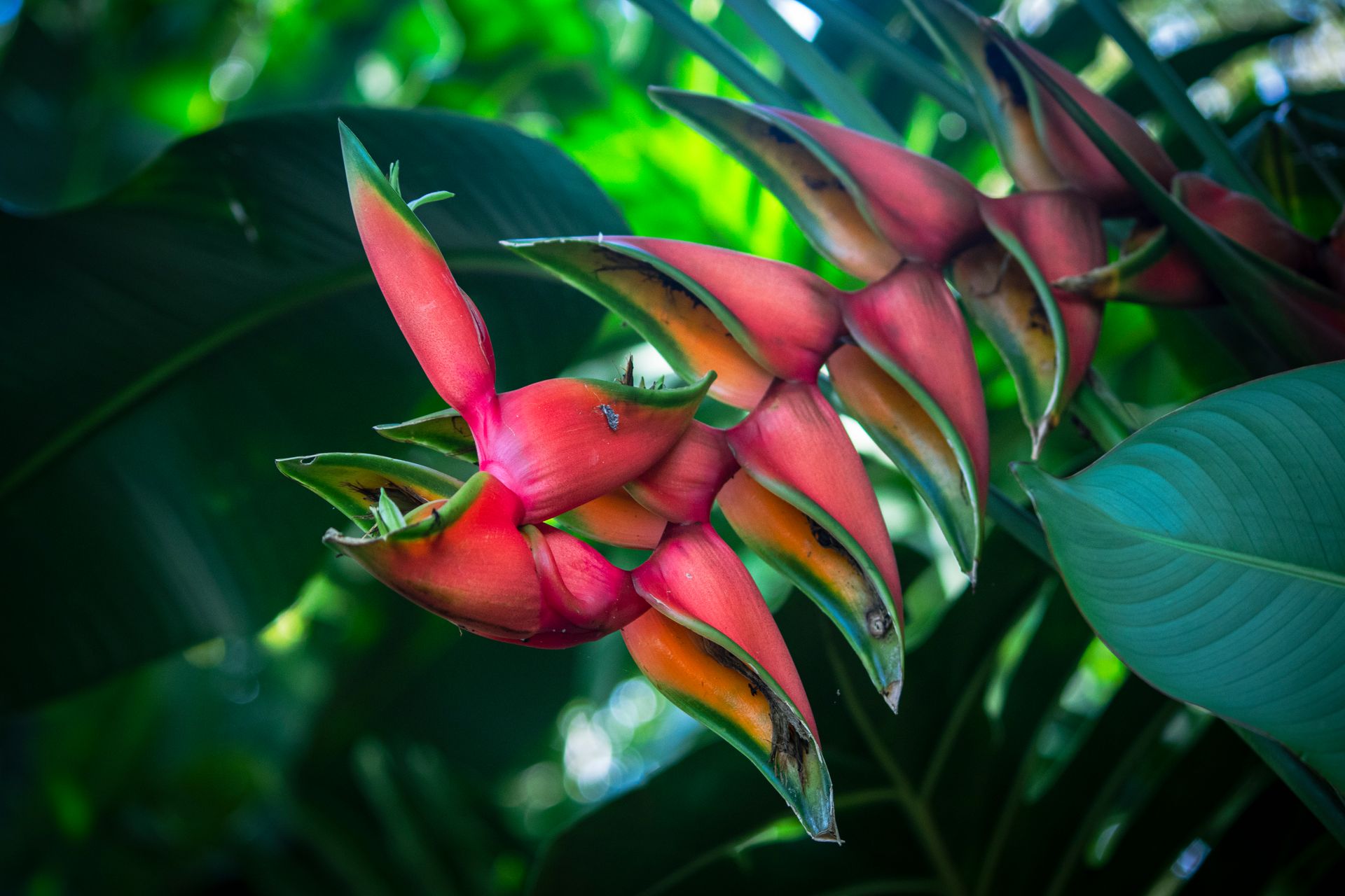 Meus Caminhos, Minha Ilha - Morro de São Paulo - 2 - 0