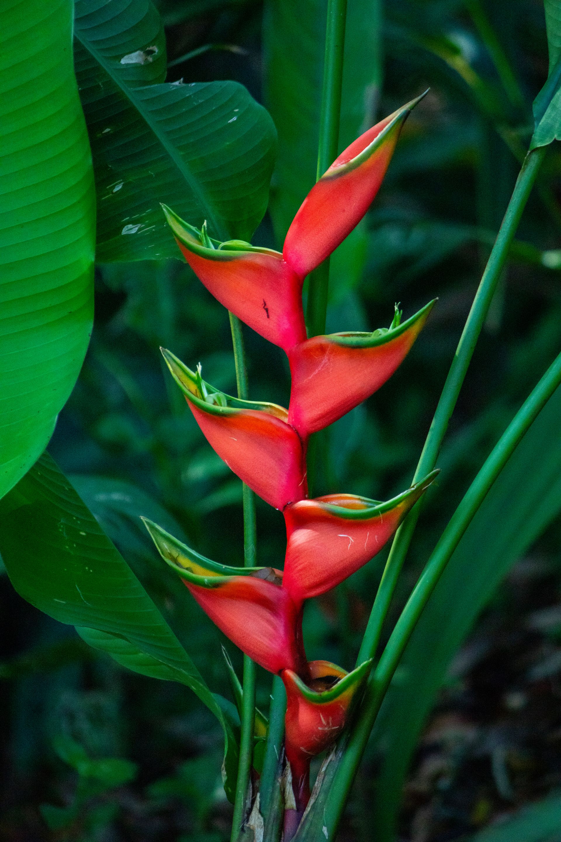 Meus Caminhos, Minha Ilha - Morro de São Paulo - 2 - 0