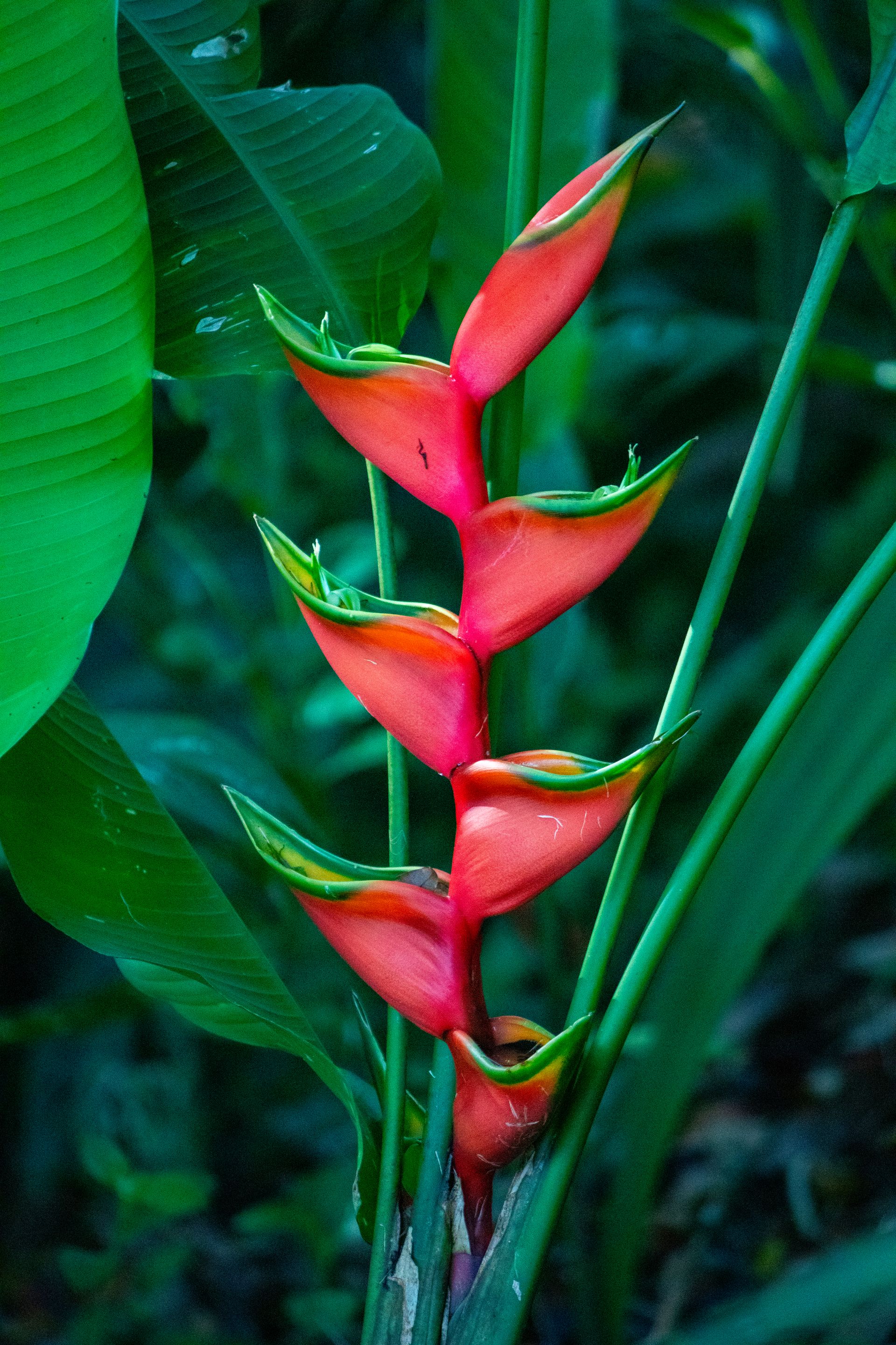 Meus Caminhos, Minha Ilha - Morro de São Paulo - 2 - 0