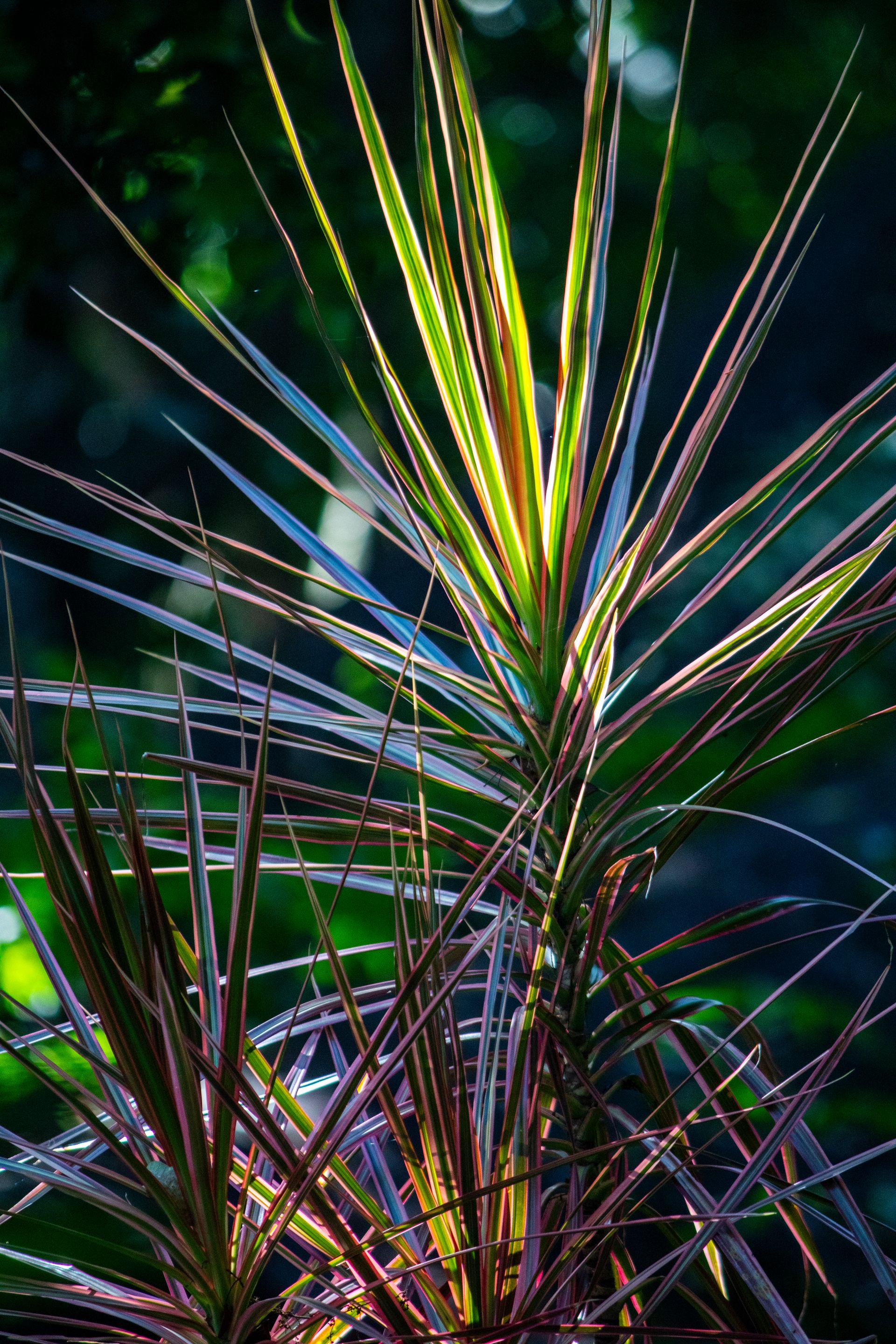 Meus Caminhos, Minha Ilha - Morro de São Paulo - 2 - 1
