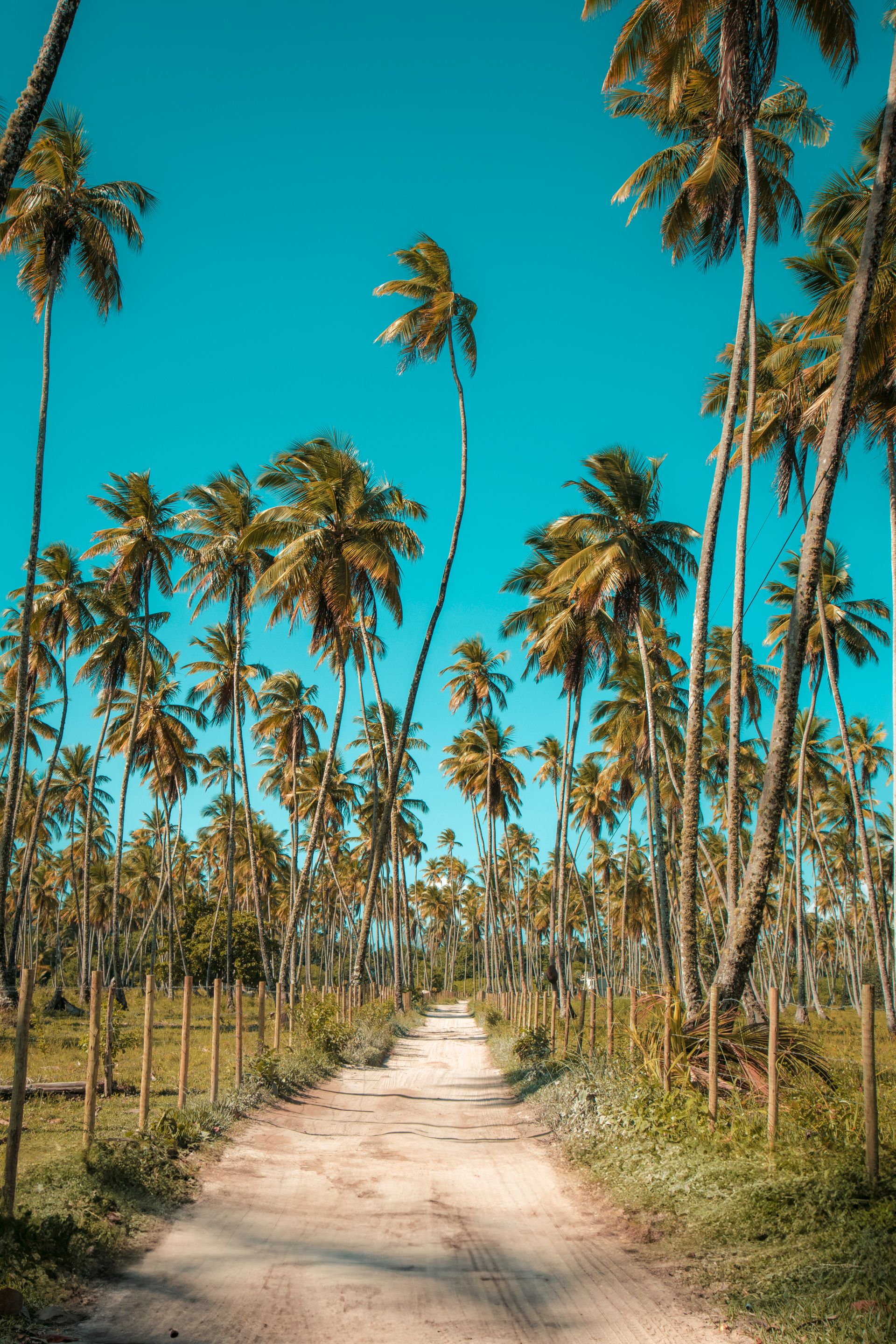 Meus Caminhos, Minha Ilha - Morro de São Paulo - 2 - 0