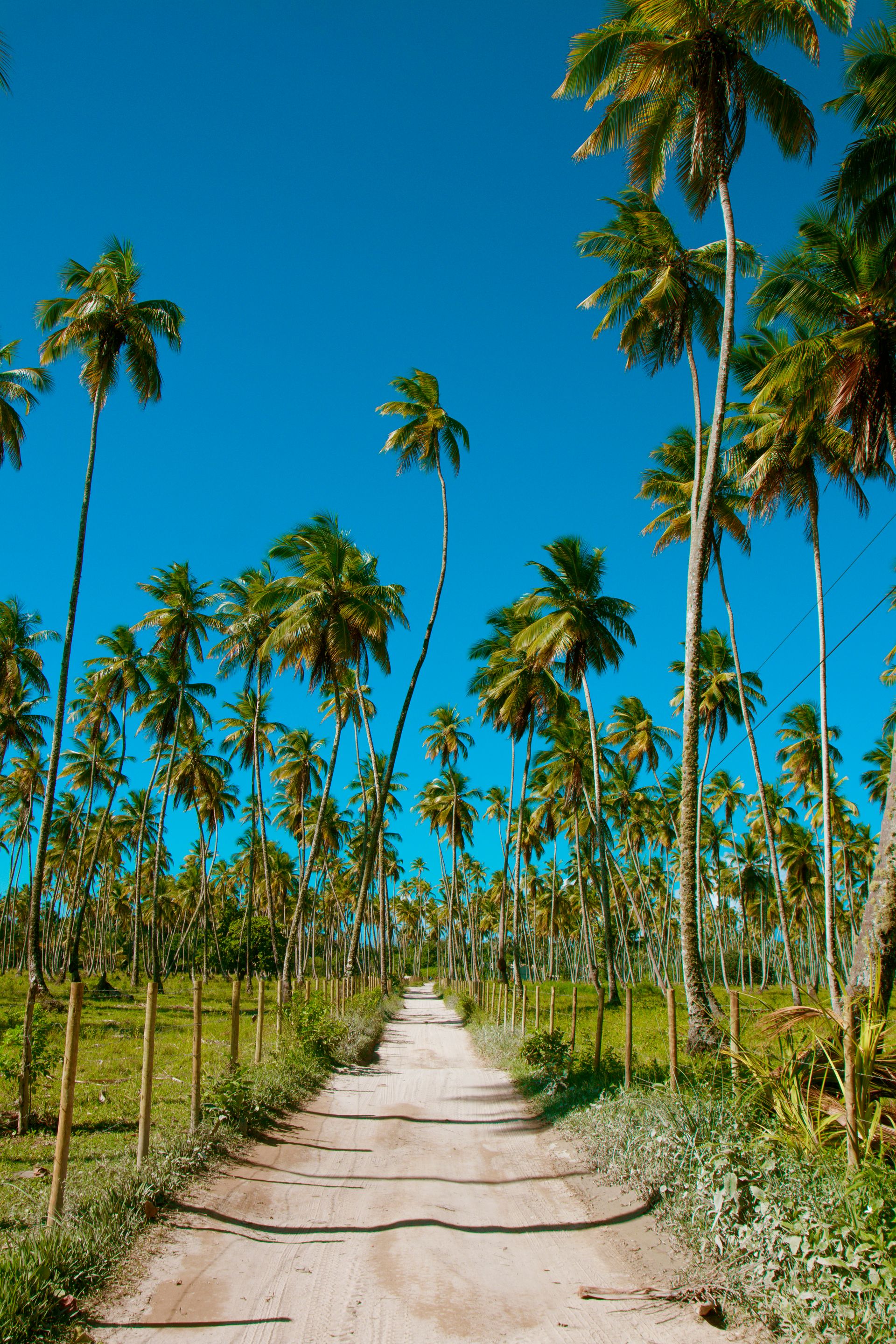Meus Caminhos, Minha Ilha - Morro de São Paulo - 2 - 1