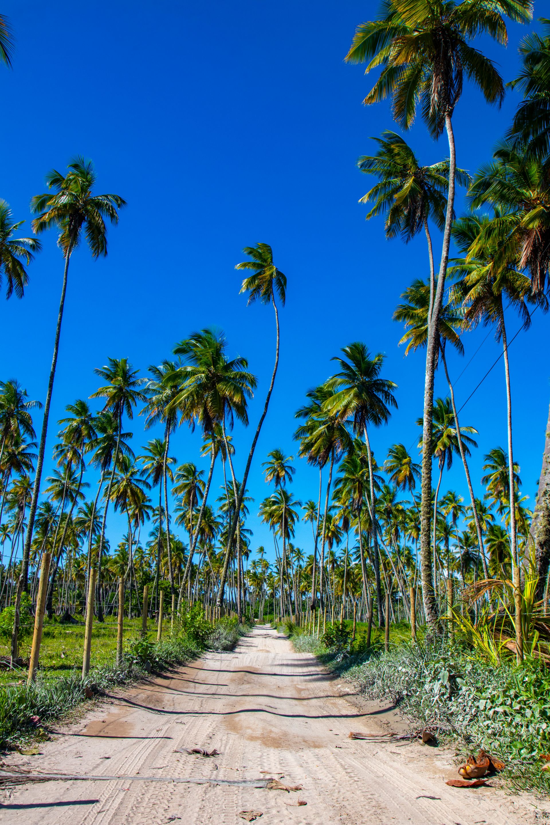 Meus Caminhos, Minha Ilha - Morro de São Paulo - 2 - 0
