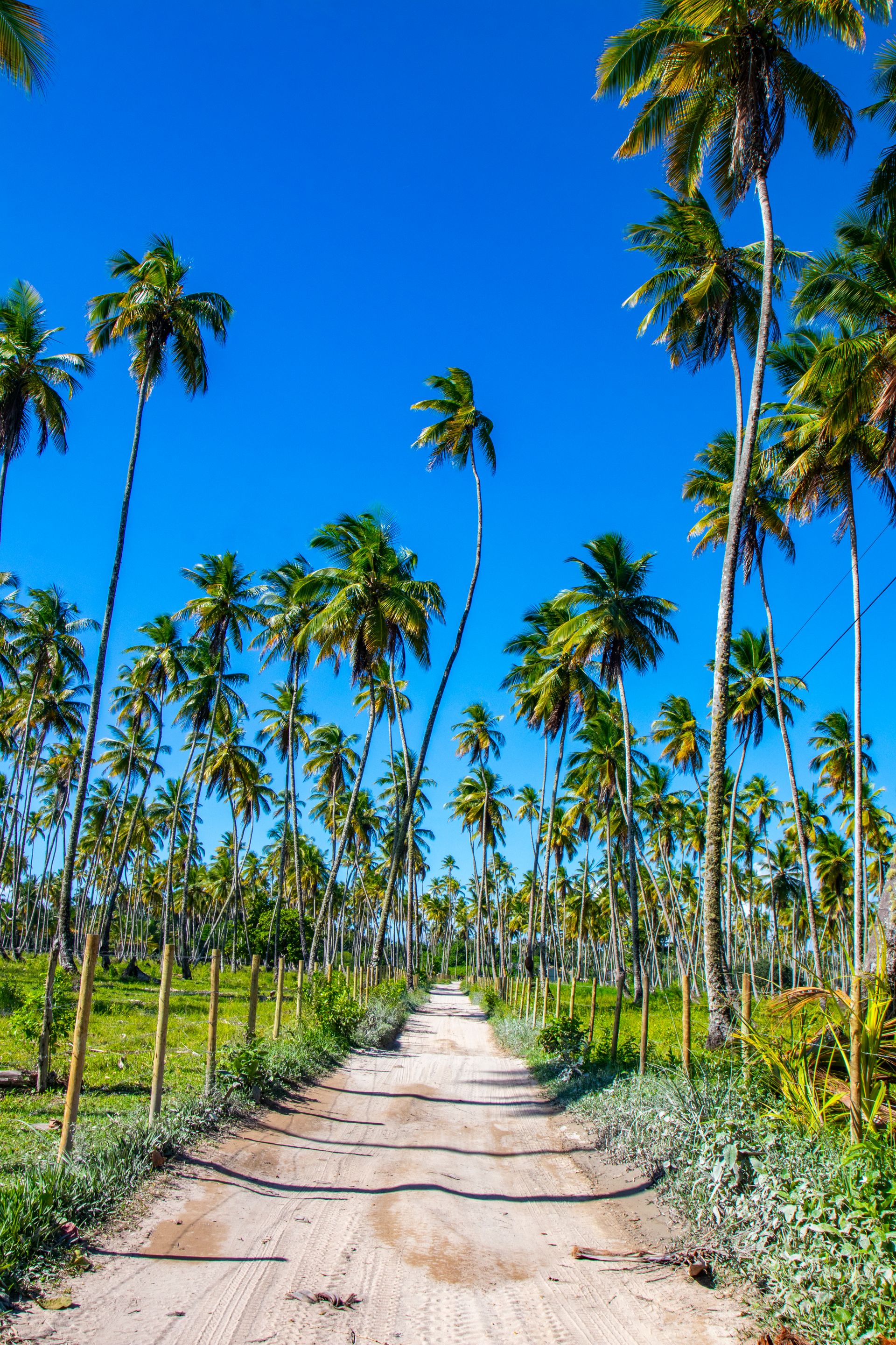 Meus Caminhos, Minha Ilha - Morro de São Paulo - 2 - 1