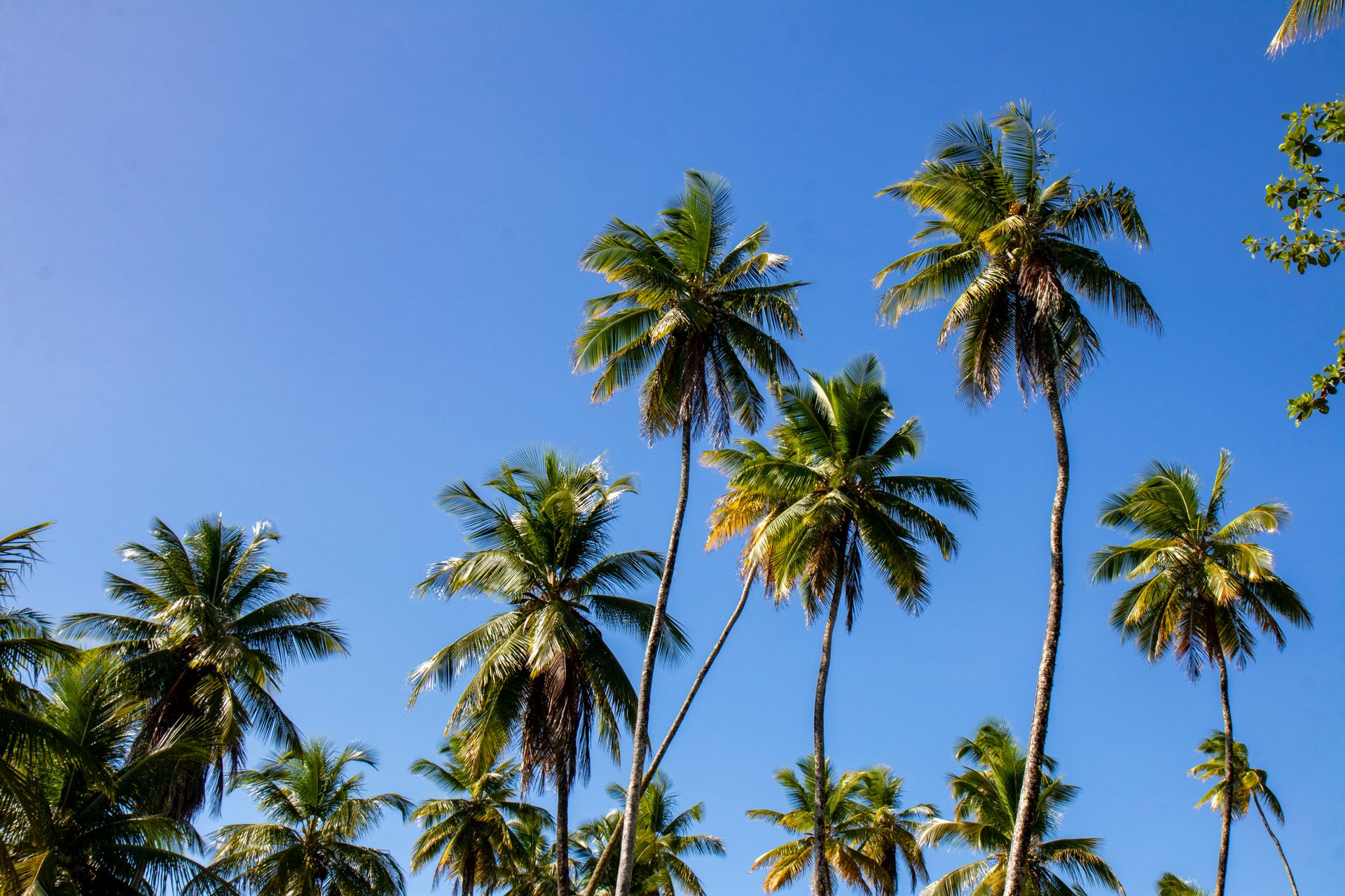 Meus Caminhos, Minha Ilha - Morro de São Paulo - 2 - 1
