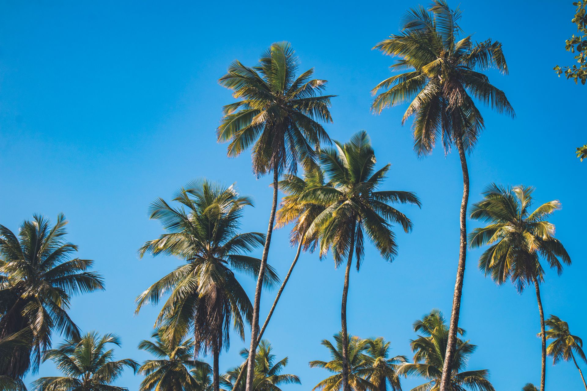 Meus Caminhos, Minha Ilha - Morro de São Paulo - 2 - 1