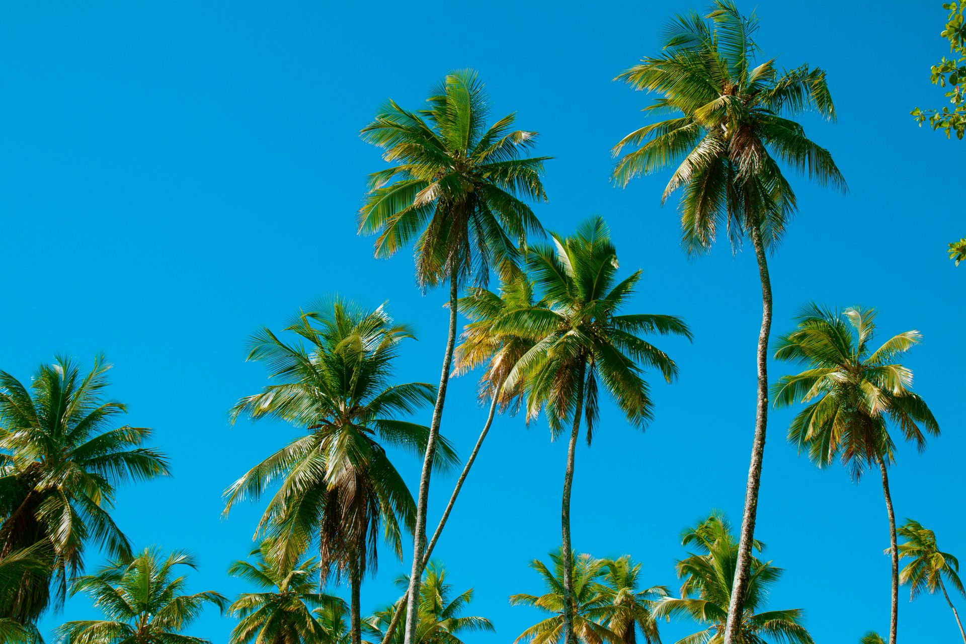 Meus Caminhos, Minha Ilha - Morro de São Paulo - 2 - 0