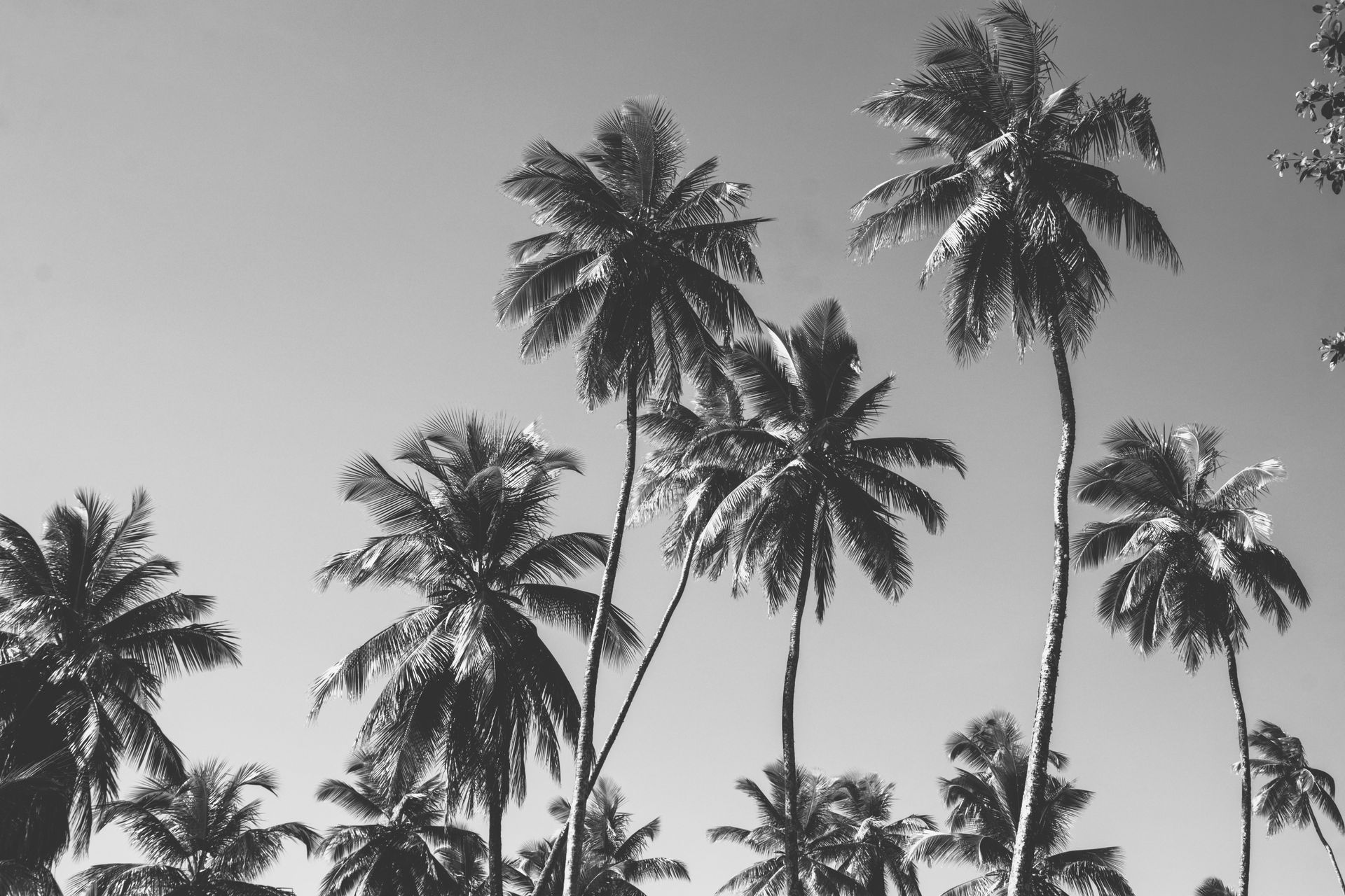 Meus Caminhos, Minha Ilha - Morro de São Paulo - 2 - 0