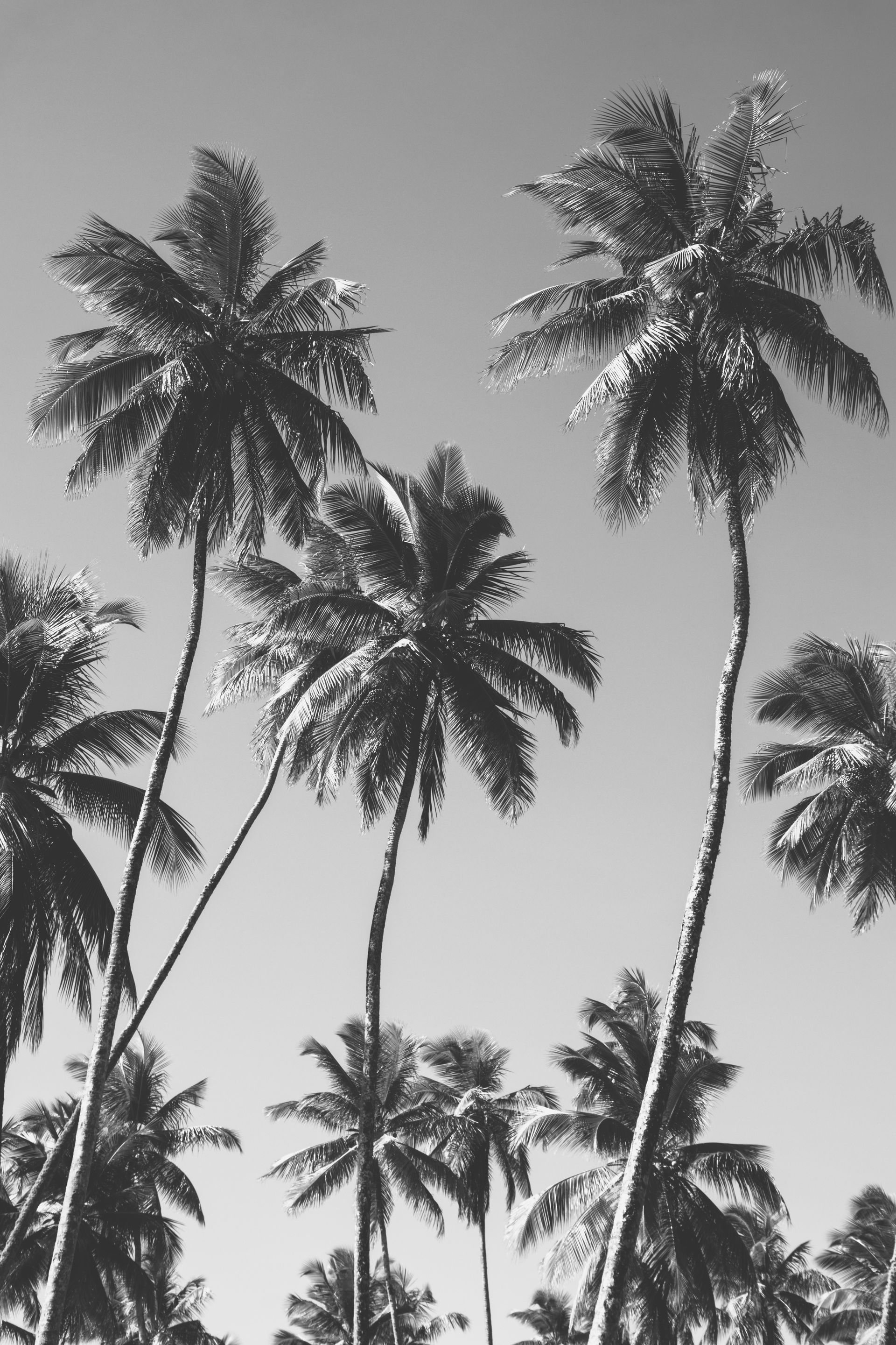 Meus Caminhos, Minha Ilha - Morro de São Paulo - 2 - 1