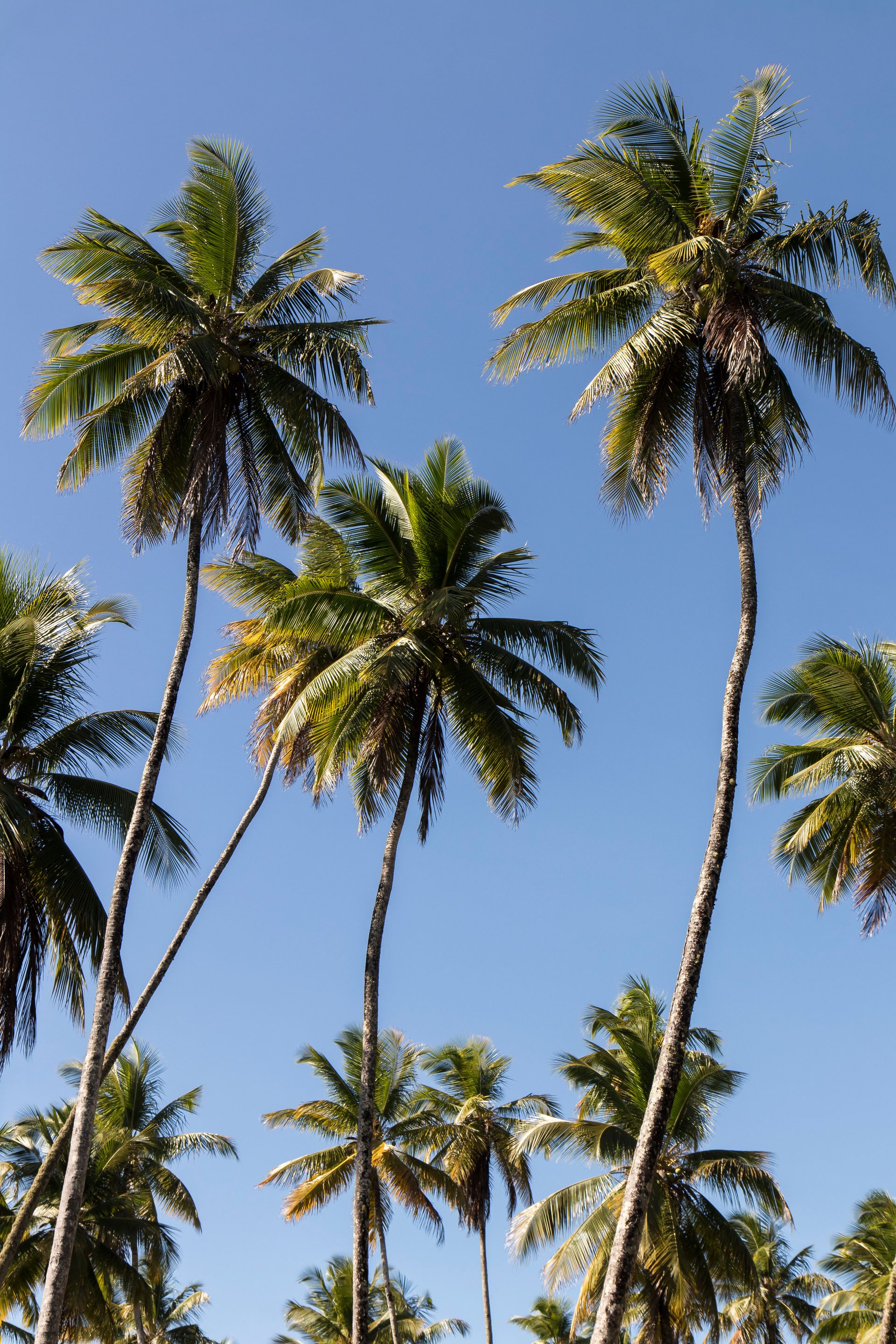 Meus Caminhos, Minha Ilha - Morro de São Paulo - 2 - 1