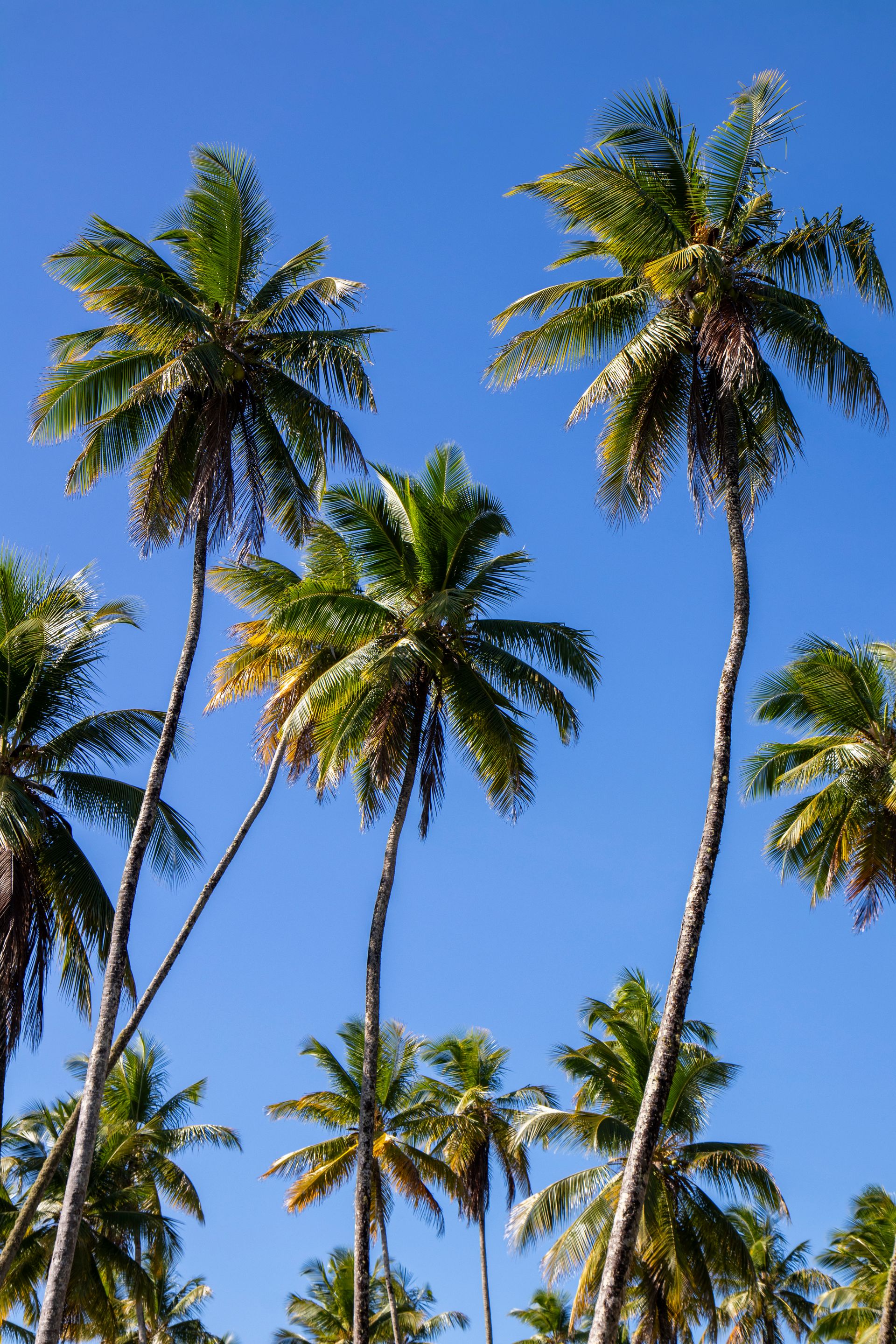 Meus Caminhos, Minha Ilha - Morro de São Paulo - 2 - 1