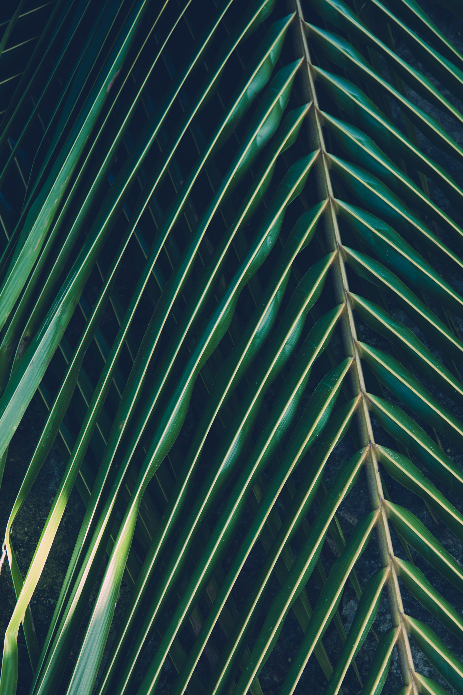 Meus Caminhos, Minha Ilha - Morro de São Paulo - 2 - 0