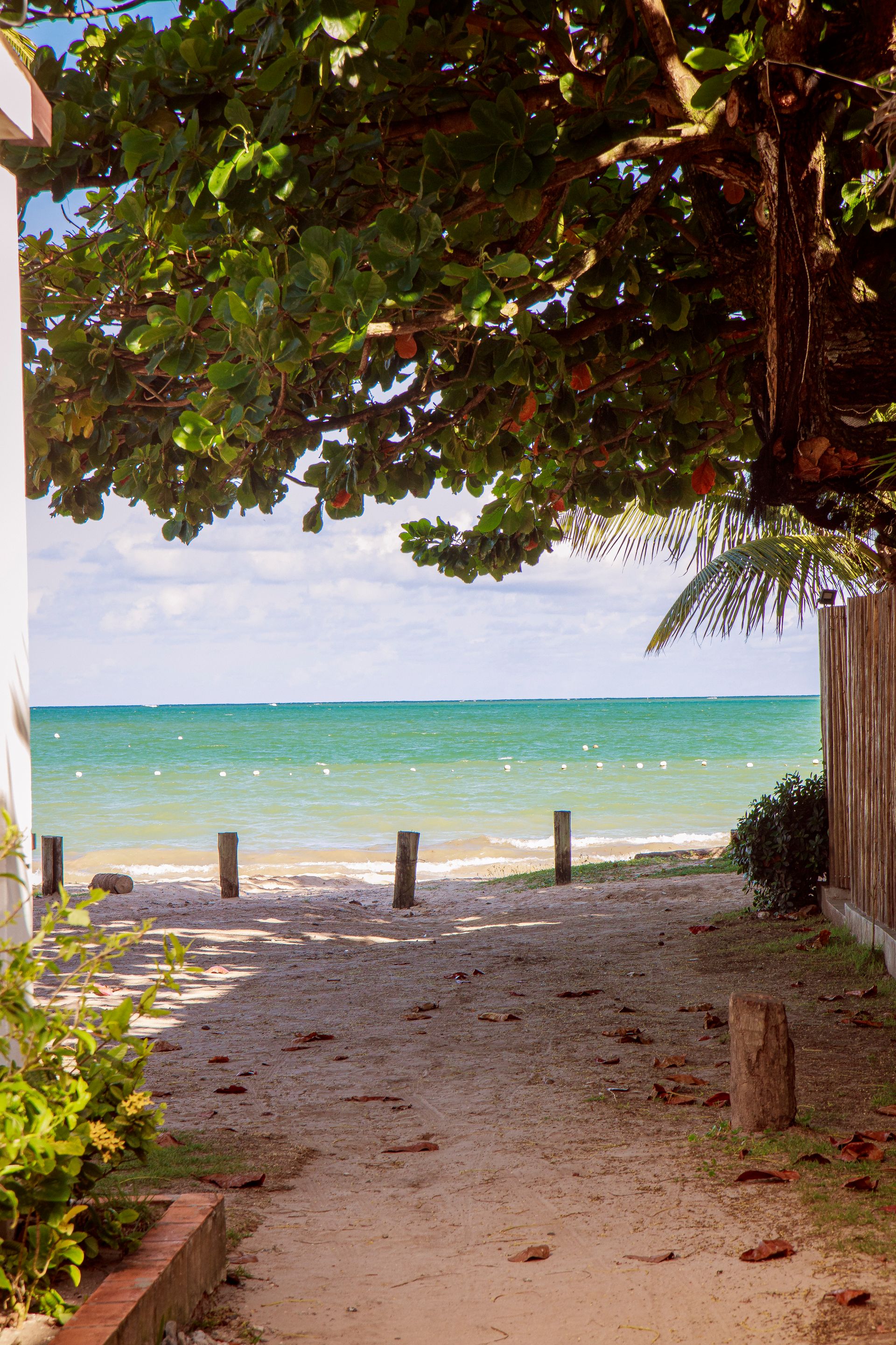 Entre Areias e Encantos - Boipeba e Moreré - 2 - 0