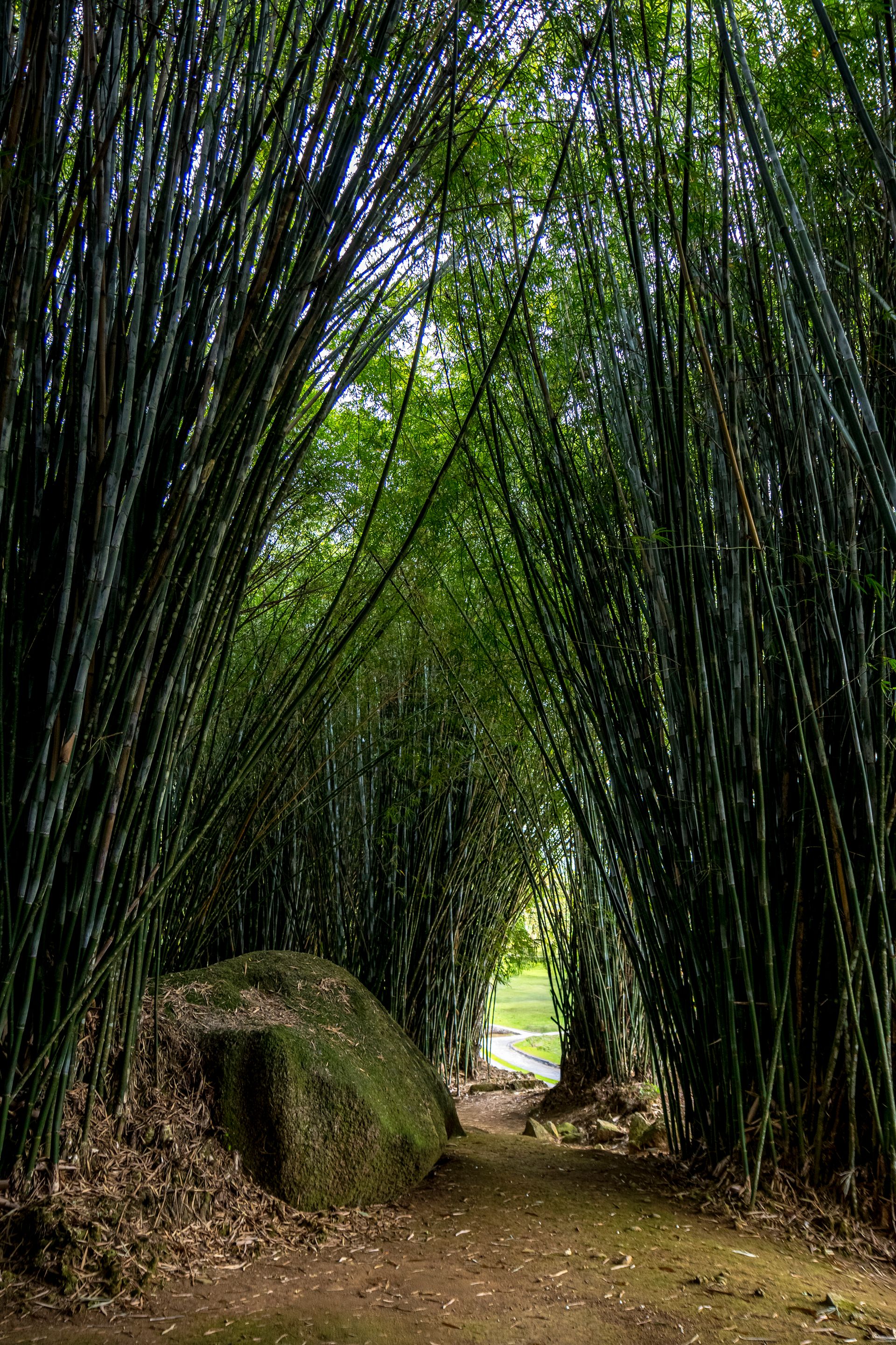 Refúgio Atlântico - Paraty - 2 - 0