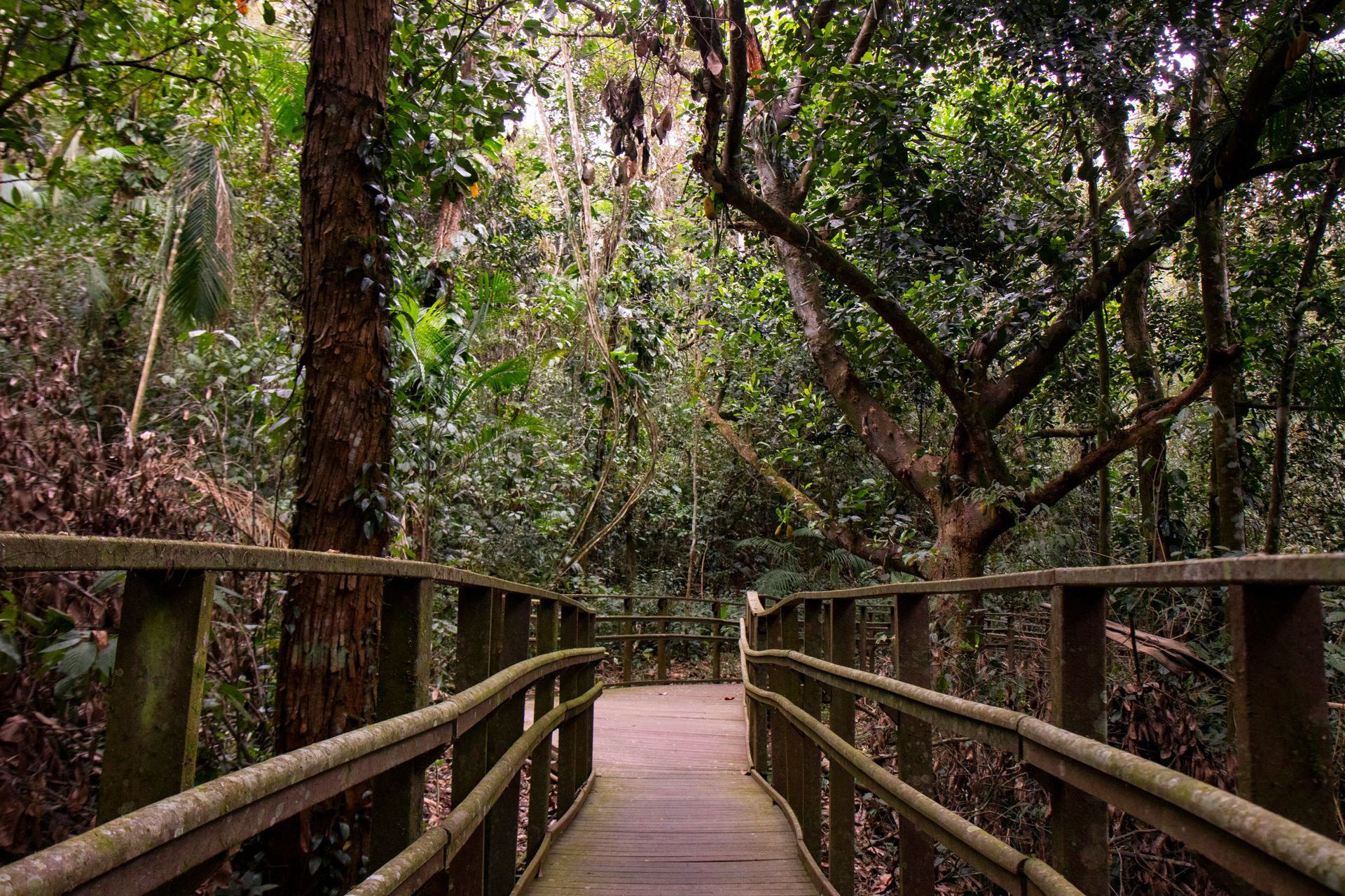 Refúgio Atlântico - Paraty - 2 - 0