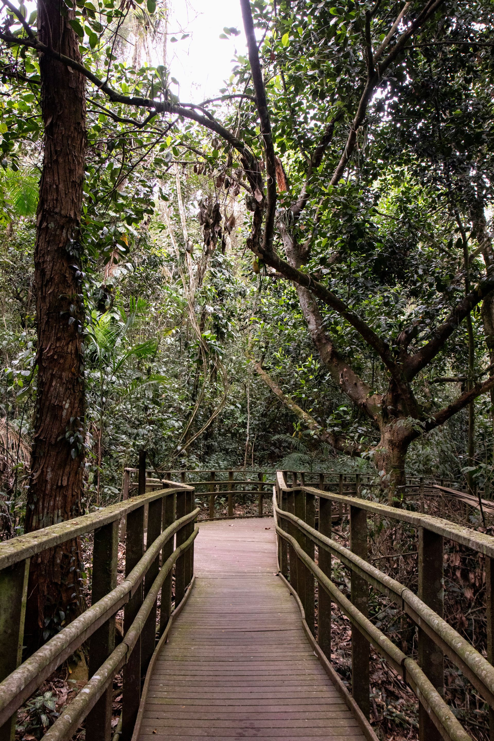 Refúgio Atlântico - Paraty - 2 - 0
