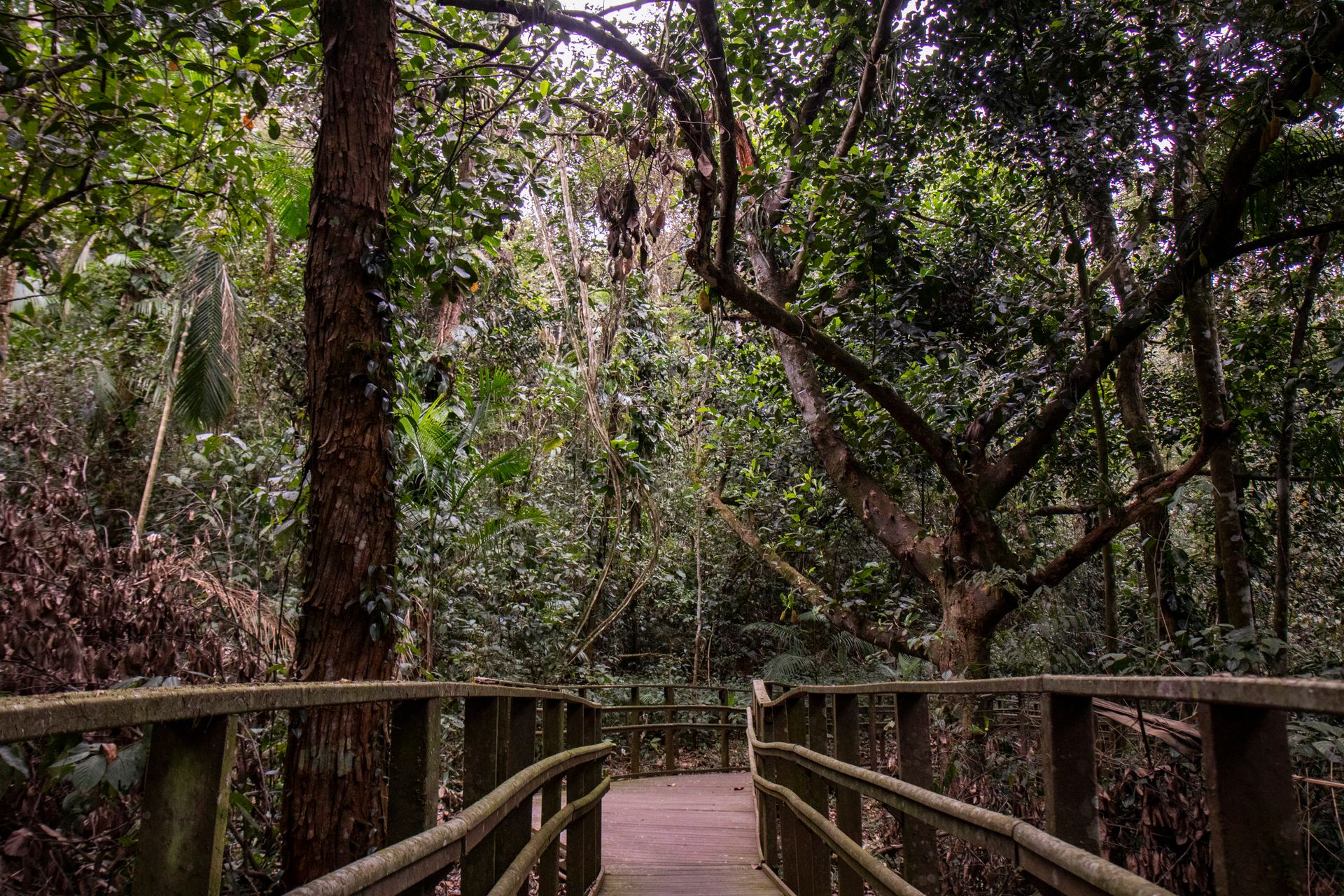 Refúgio Atlântico - Paraty - 2 - 1