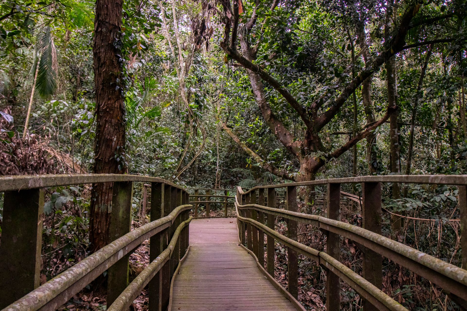 Refúgio Atlântico - Paraty - 2 - 1