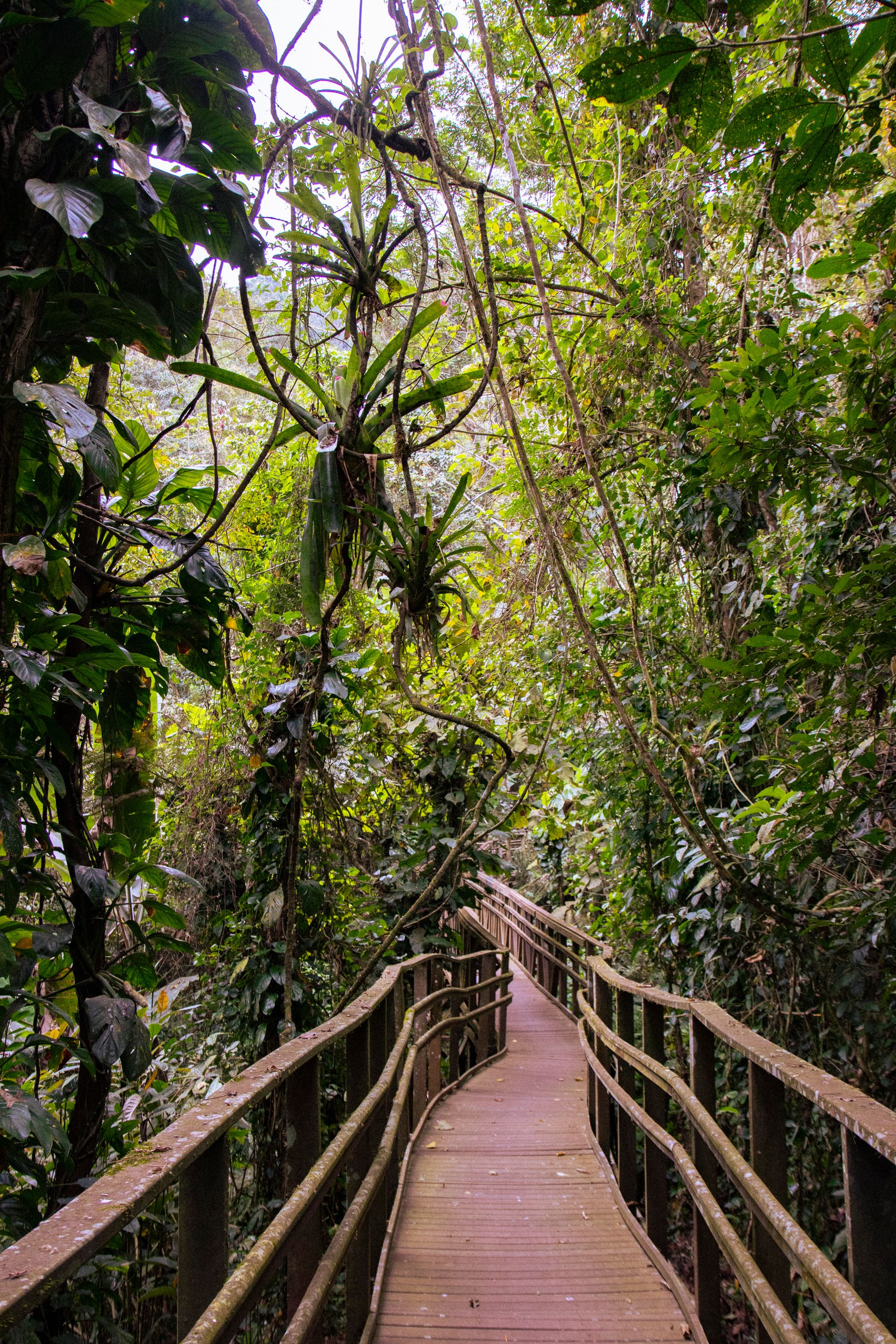 Refúgio Atlântico - Paraty - 2 - 1
