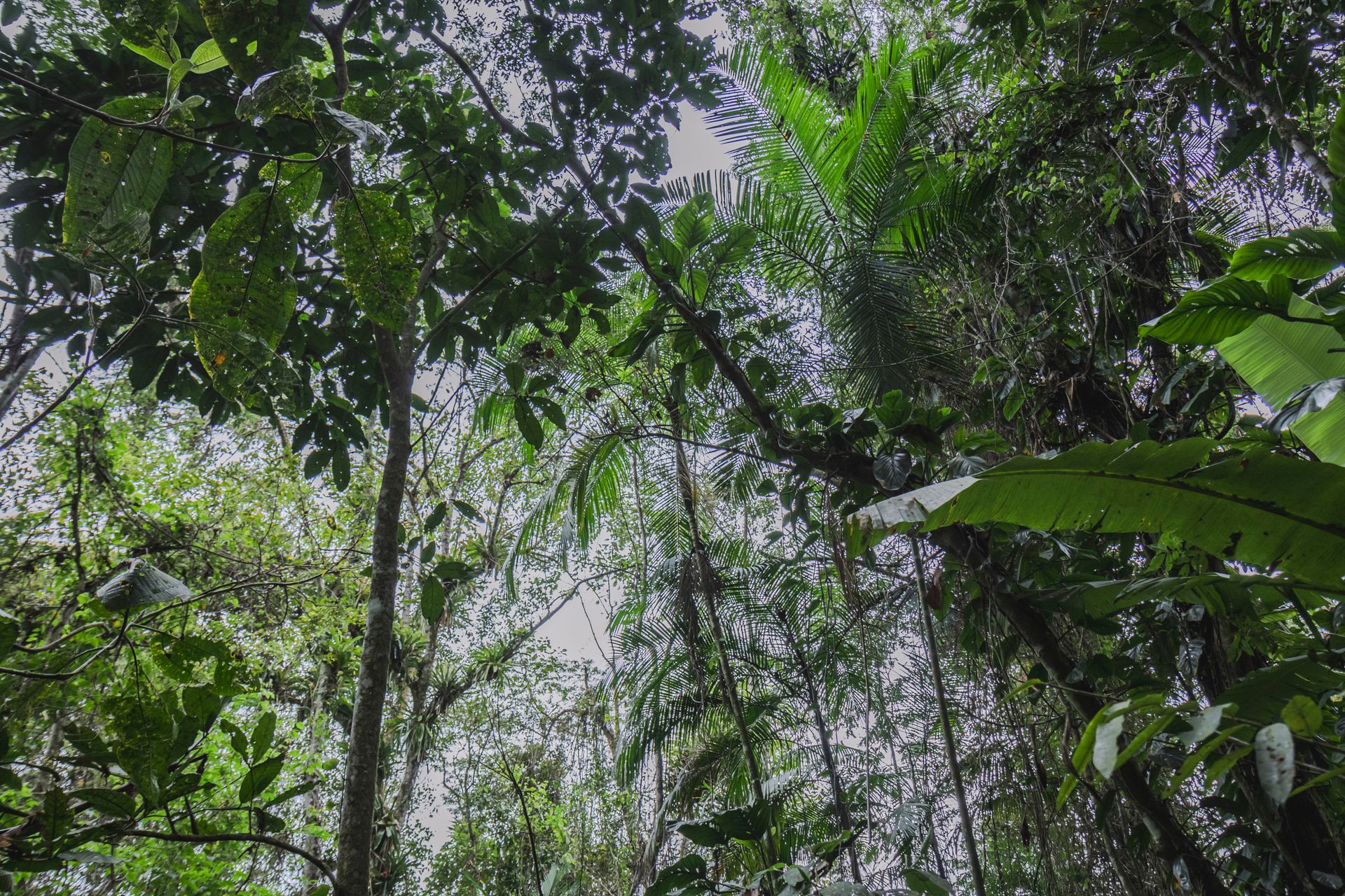 Refúgio Atlântico - Paraty - 2 - 1