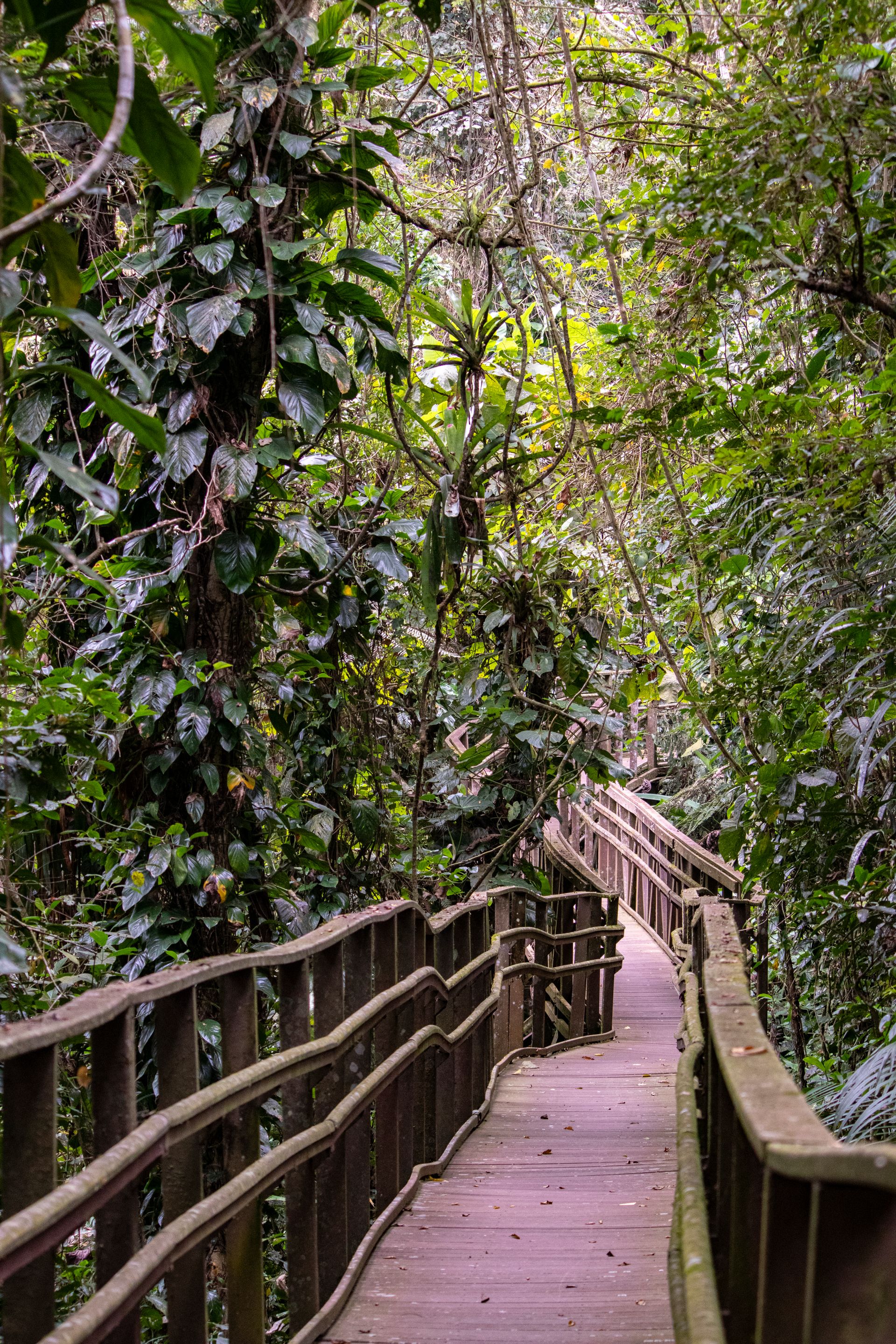 Refúgio Atlântico - Paraty - 2 - 0