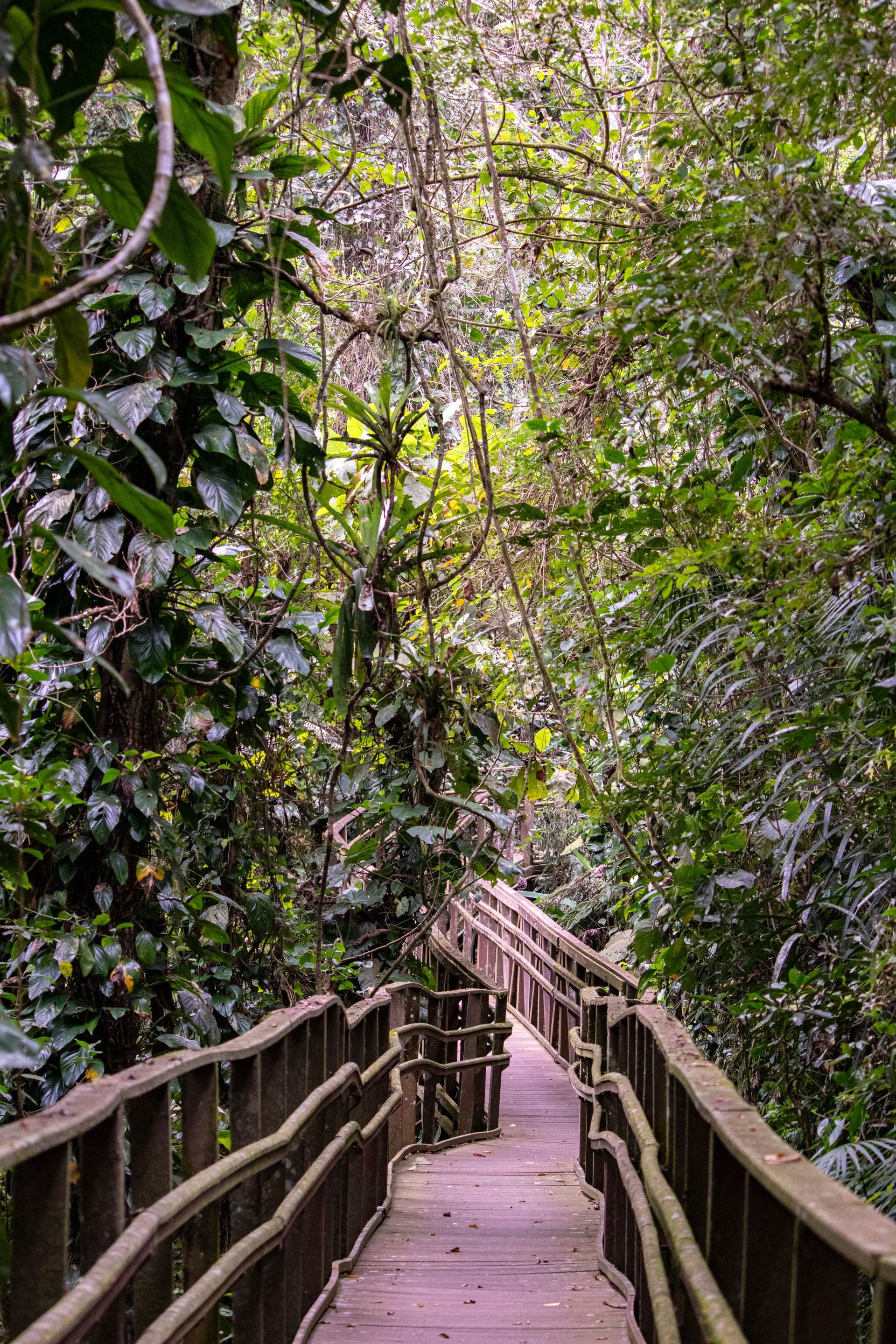 Refúgio Atlântico - Paraty - 2 - 1