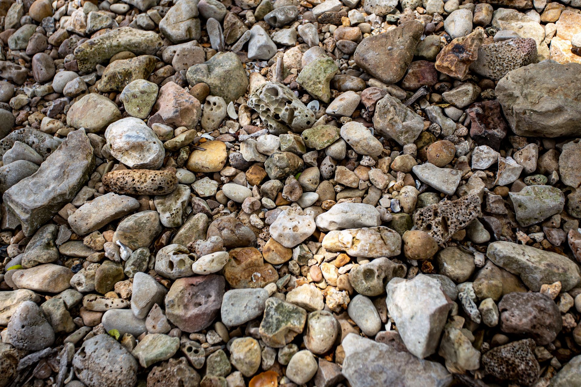 Entre Areias e Encantos - Boipeba e Moreré - 2 - 0