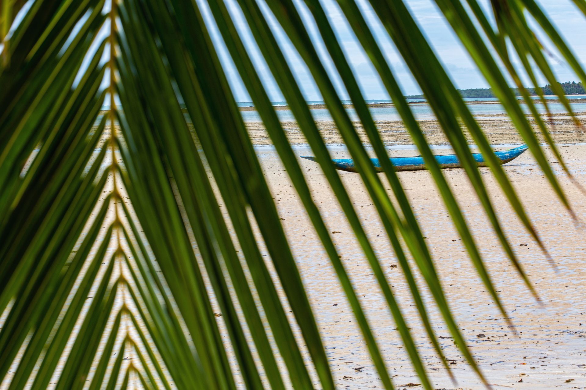 Entre Areias e Encantos - Boipeba e Moreré - 2 - 0