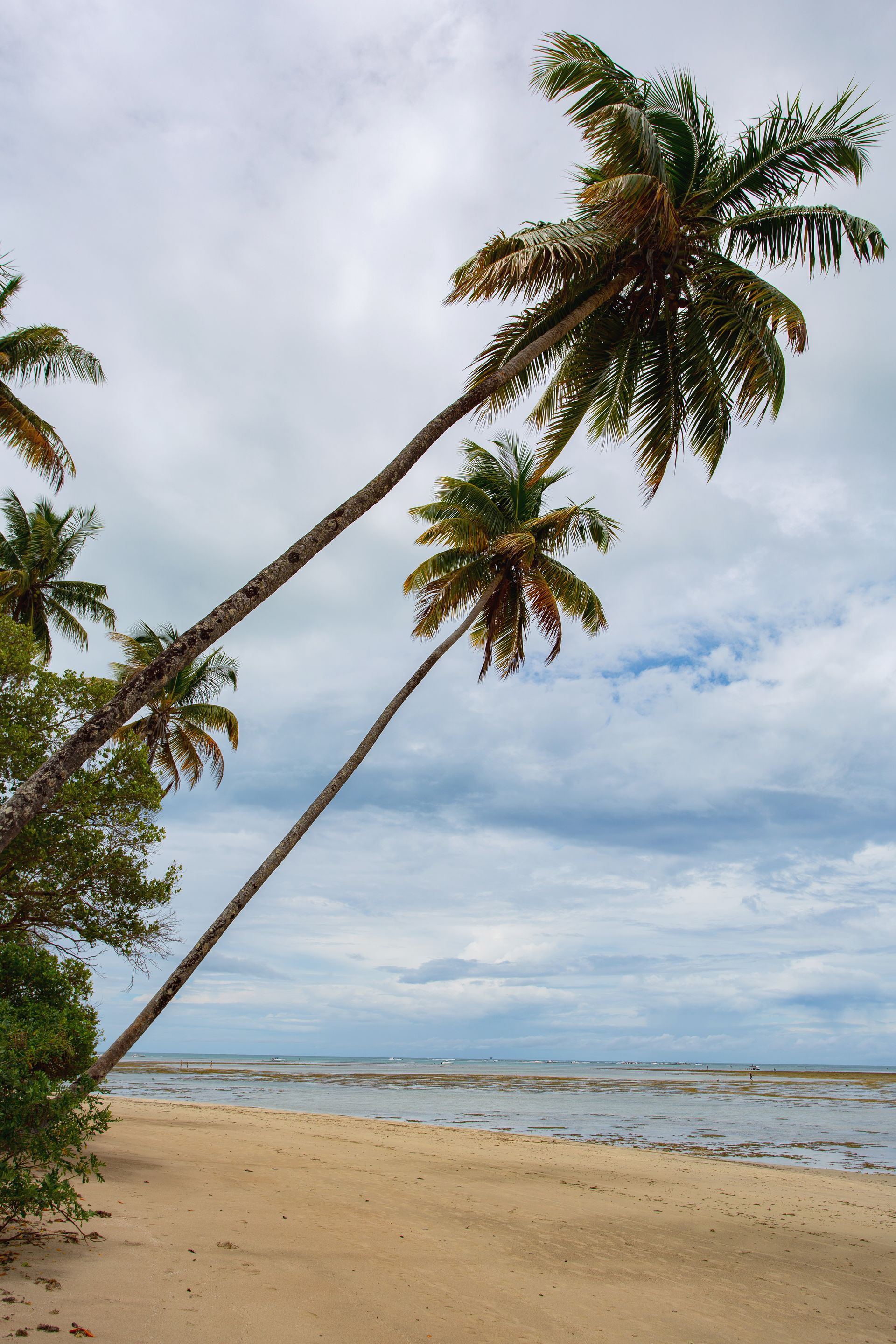 Entre Areias e Encantos - Boipeba e Moreré - 2 - 1