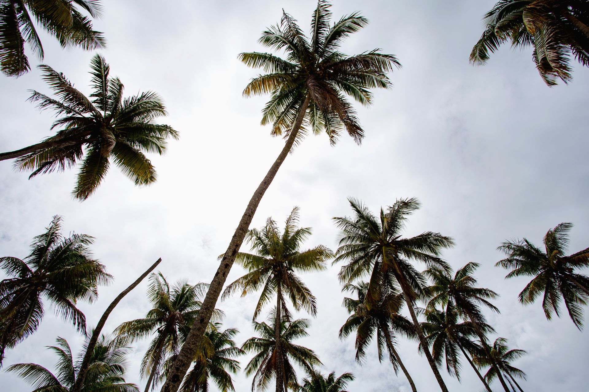 Entre Areias e Encantos - Boipeba e Moreré - 2 - 1