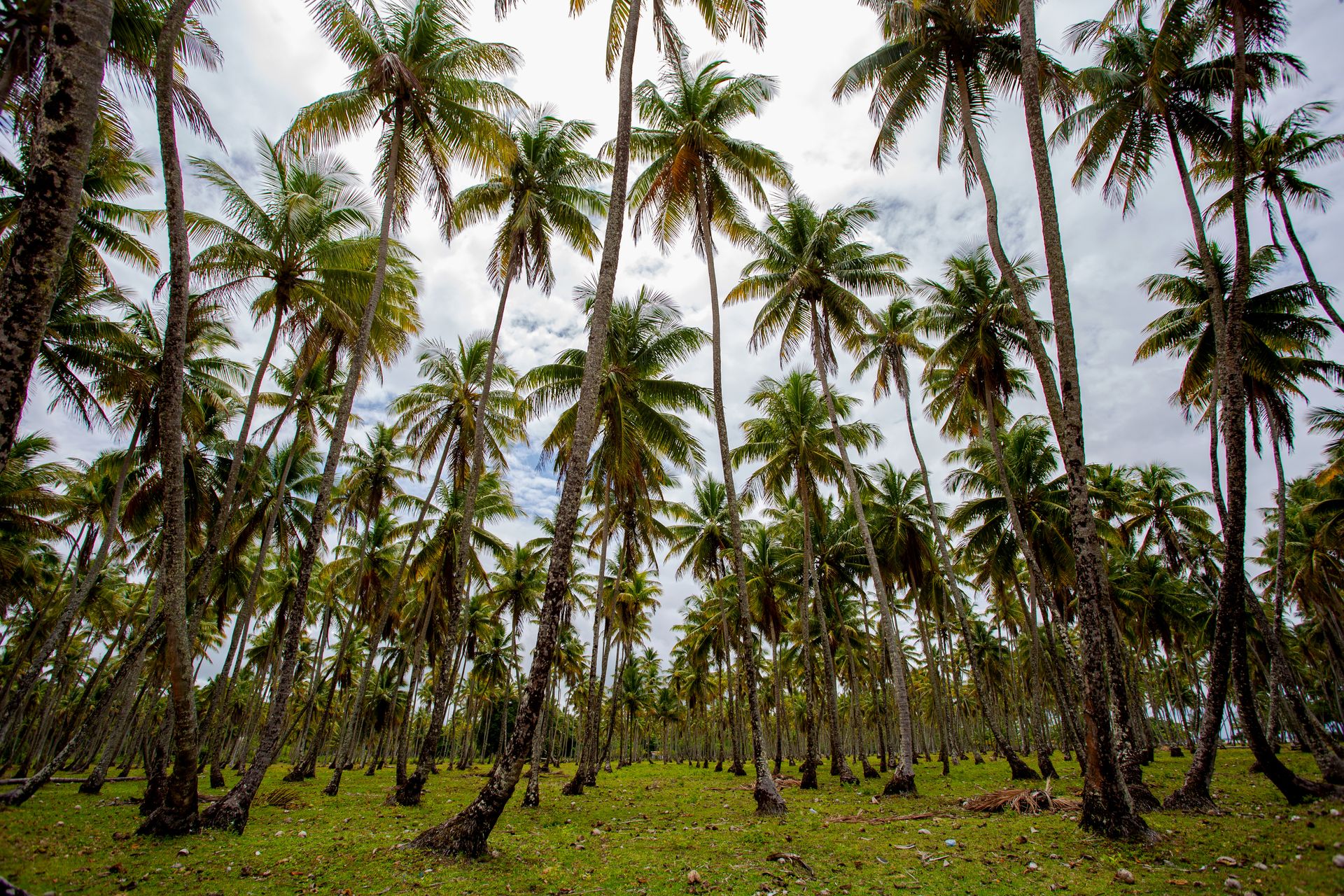 Entre Areias e Encantos - Boipeba e Moreré - 2 - 1