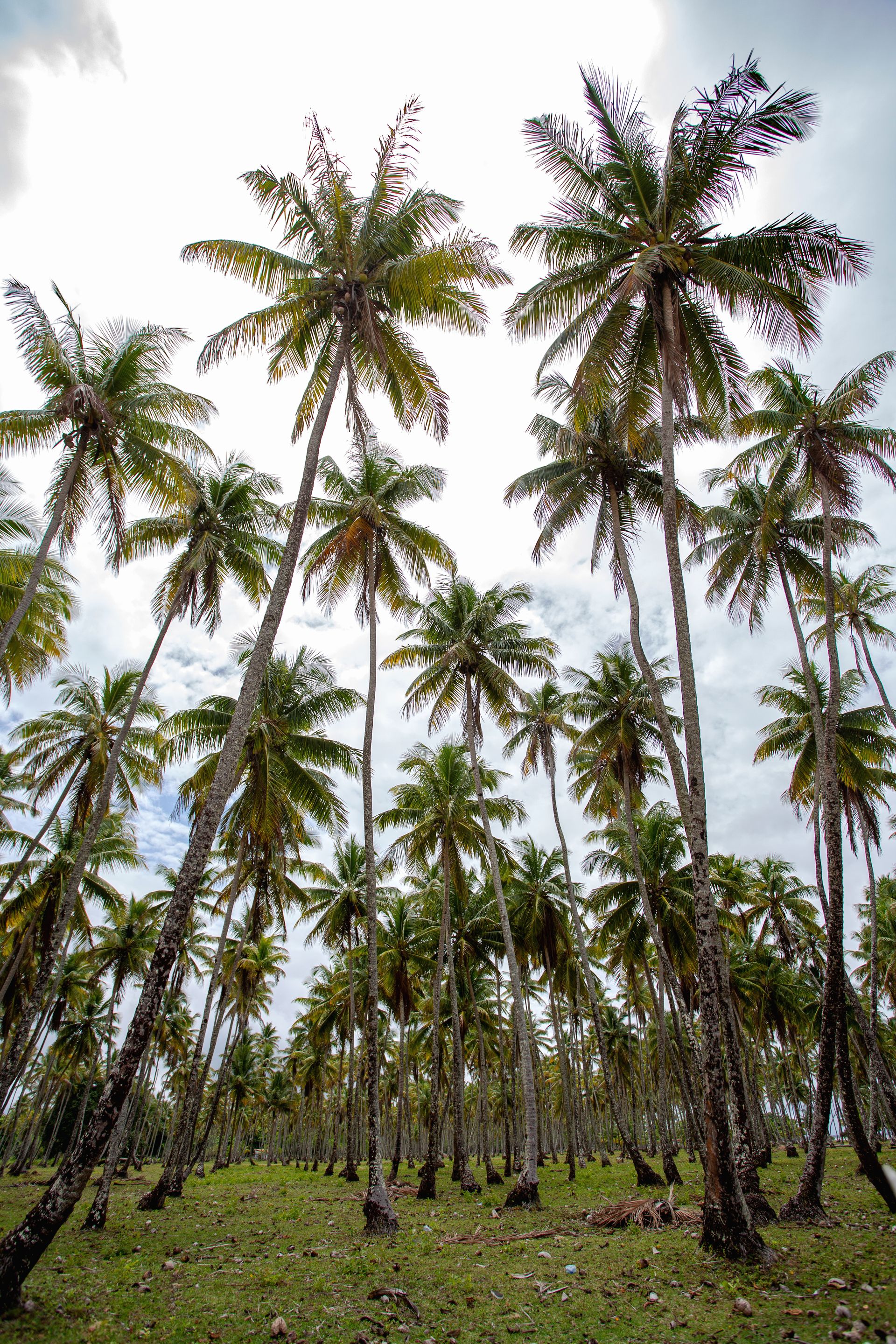 Entre Areias e Encantos - Boipeba e Moreré - 2 - 1