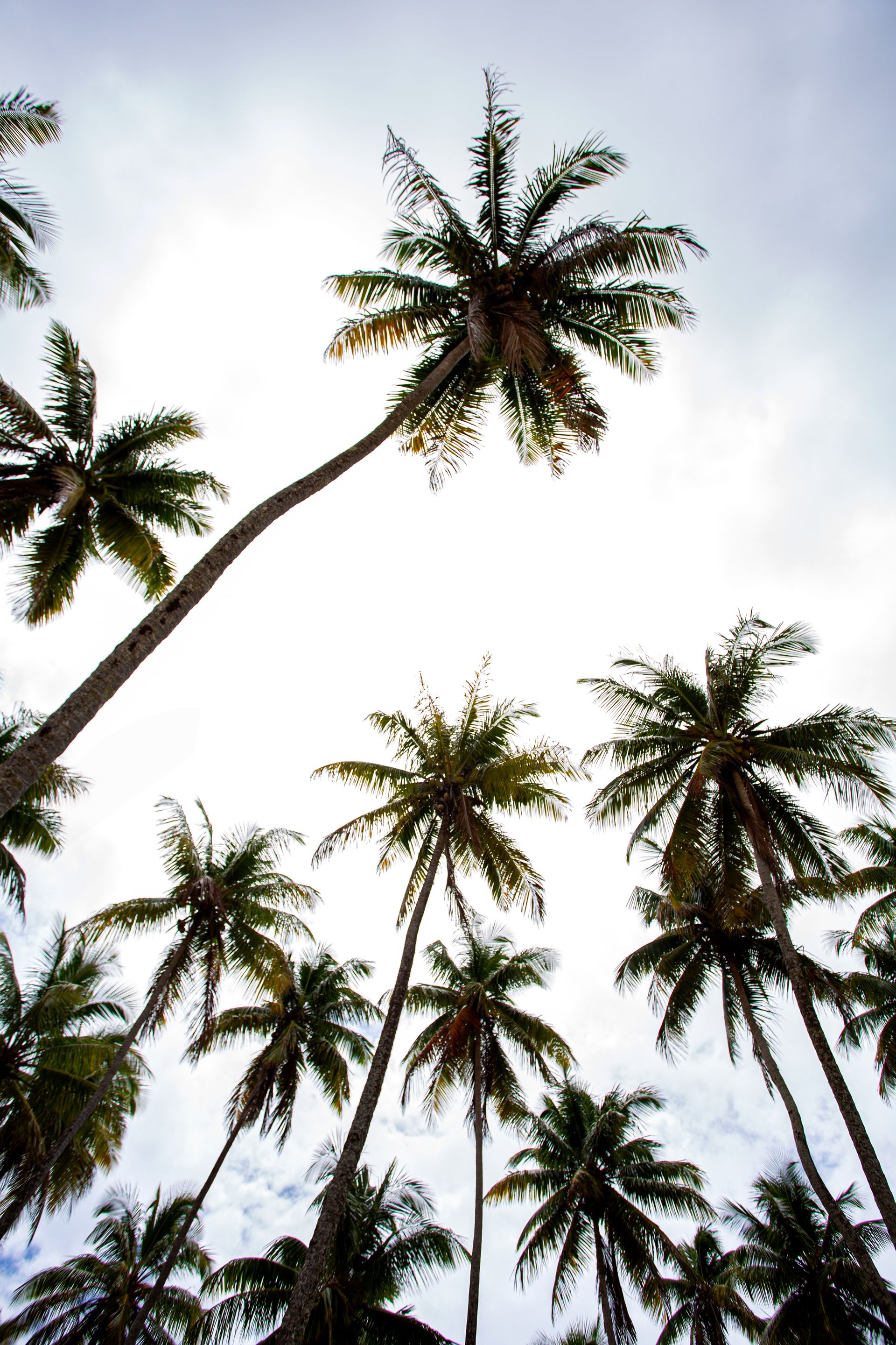 Entre Areias e Encantos - Boipeba e Moreré - 2 - 1