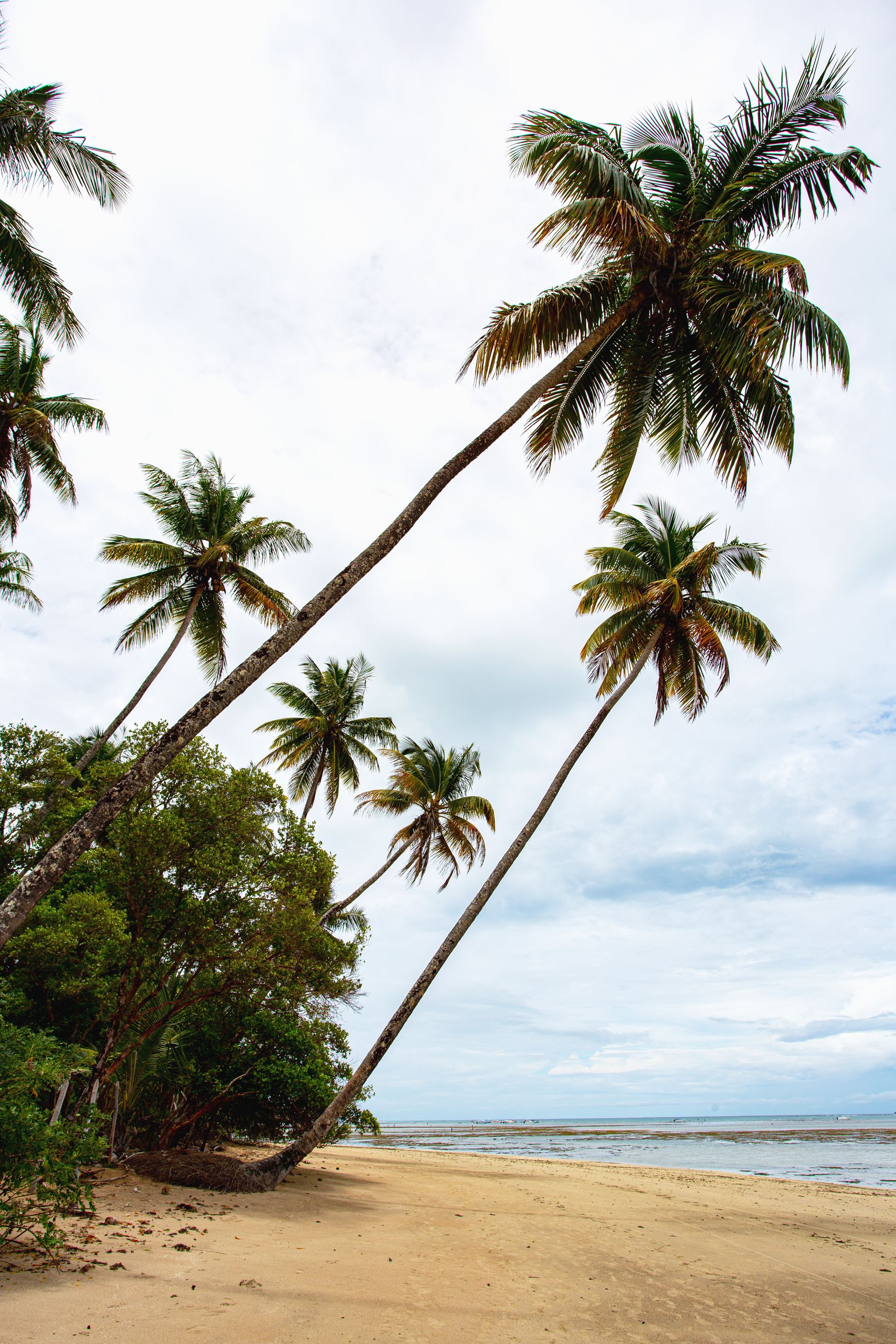 Entre Areias e Encantos - Boipeba e Moreré - 2 - 0