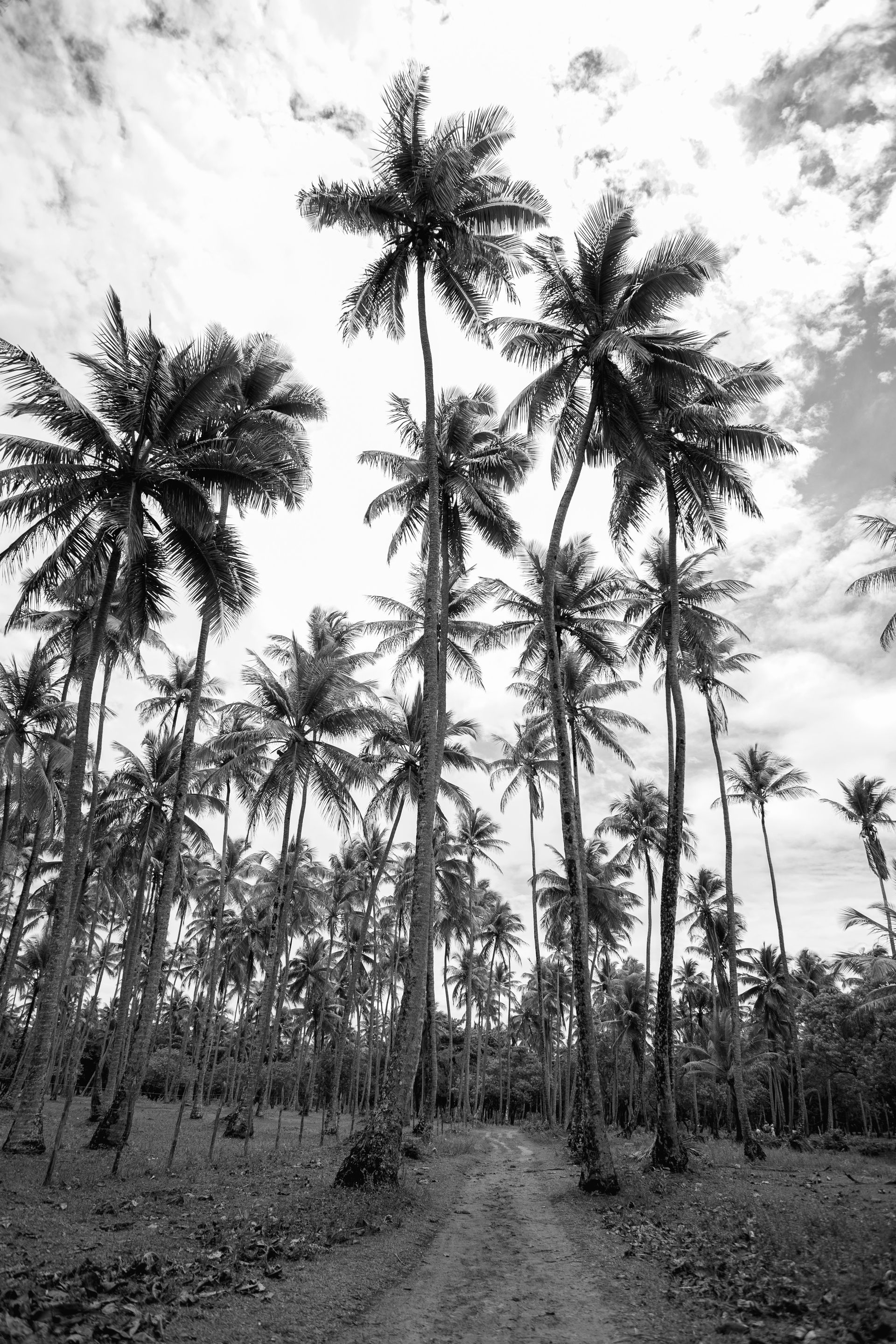 Entre Areias e Encantos - Boipeba e Moreré - 2 - 0