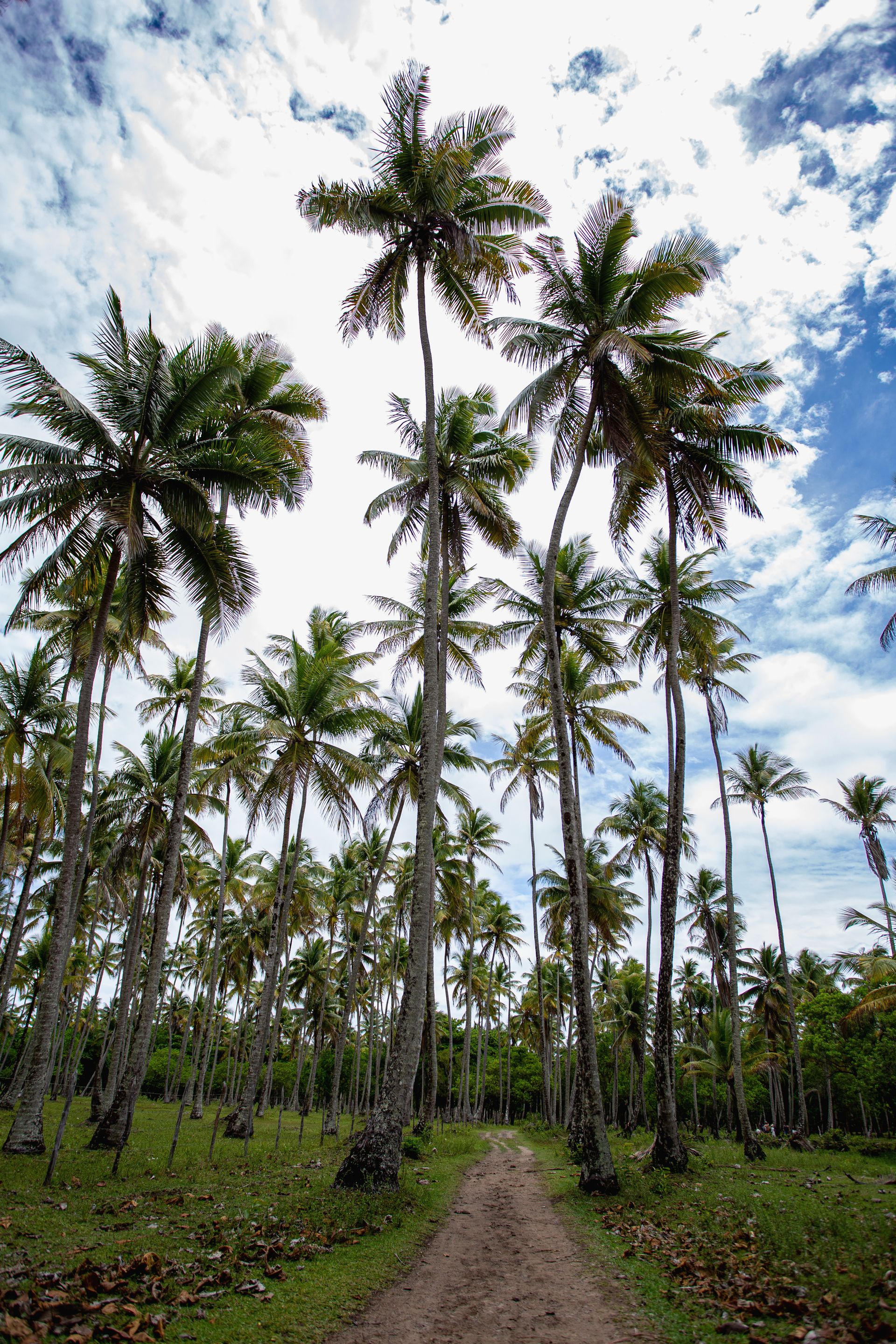 Entre Areias e Encantos - Boipeba e Moreré - 2 - 0