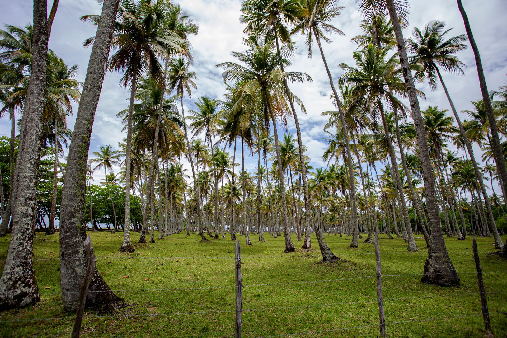 Entre Areias e Encantos - Boipeba e Moreré - 2 - 1