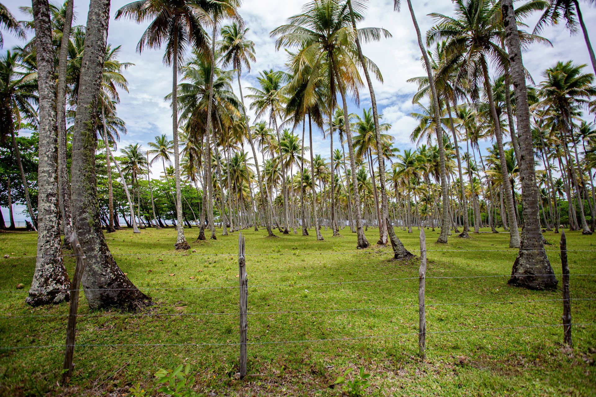 Entre Areias e Encantos - Boipeba e Moreré - 2 - 0